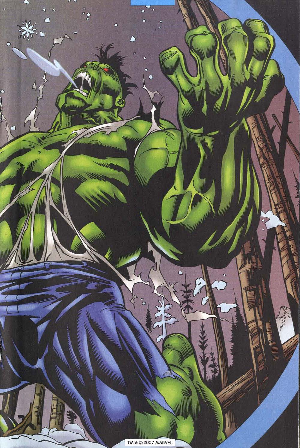 The Incredible Hulk (2000) Issue #14 #3 - English 19