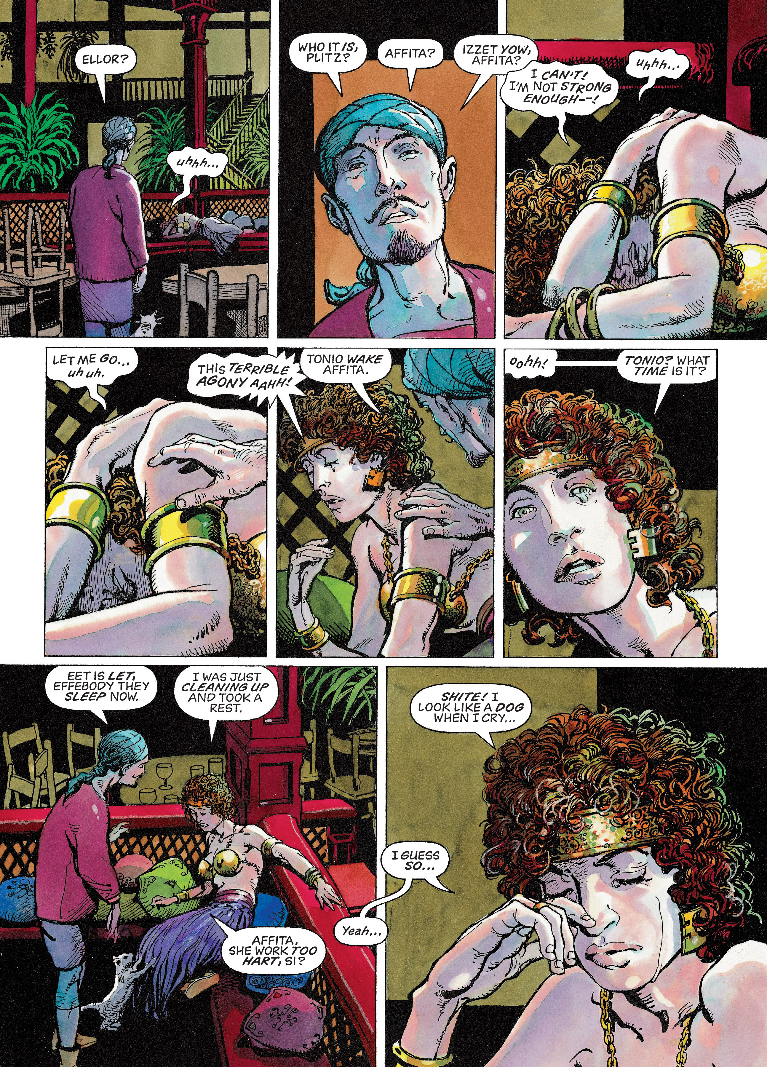 Read online The Freebooters Collection comic -  Issue # TPB (Part 2) - 74