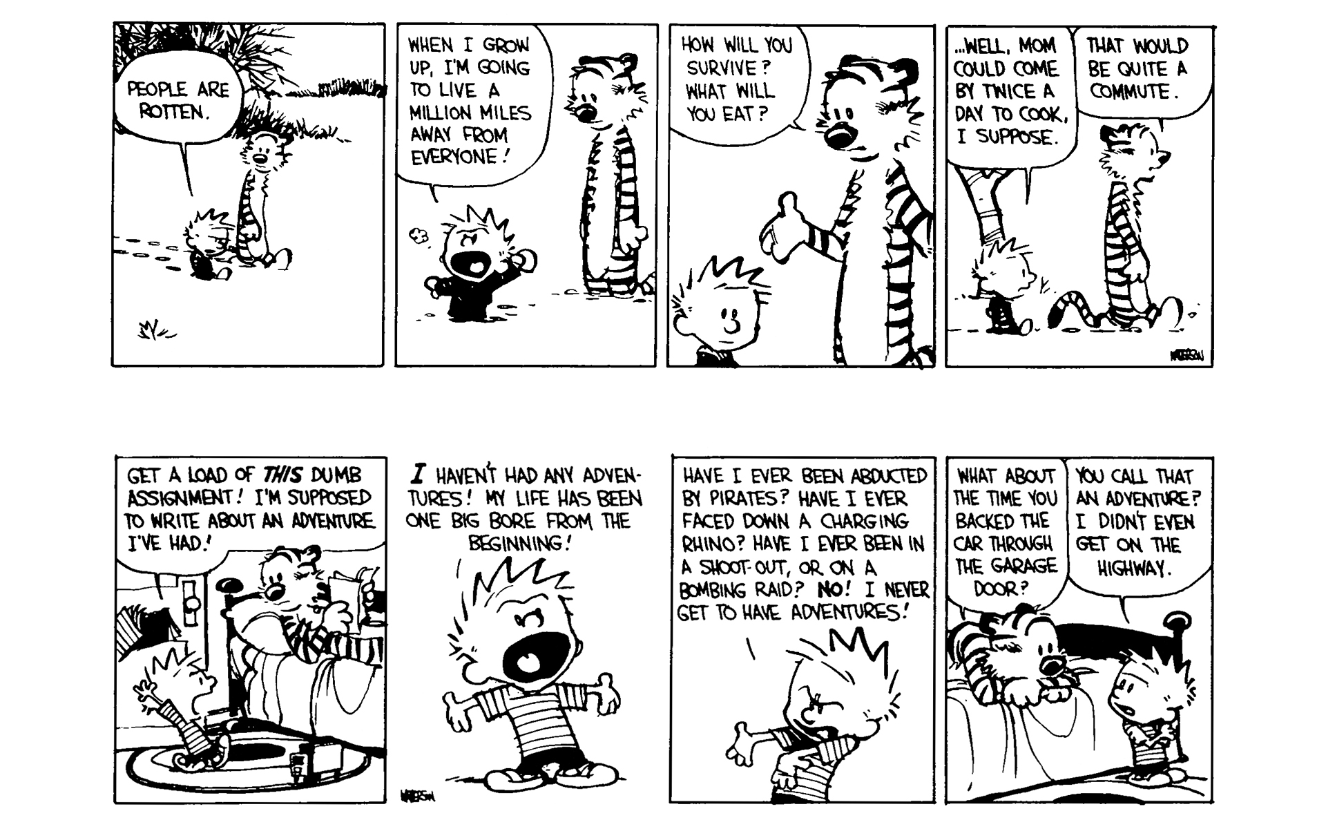 Read online Calvin and Hobbes comic -  Issue #5 - 39