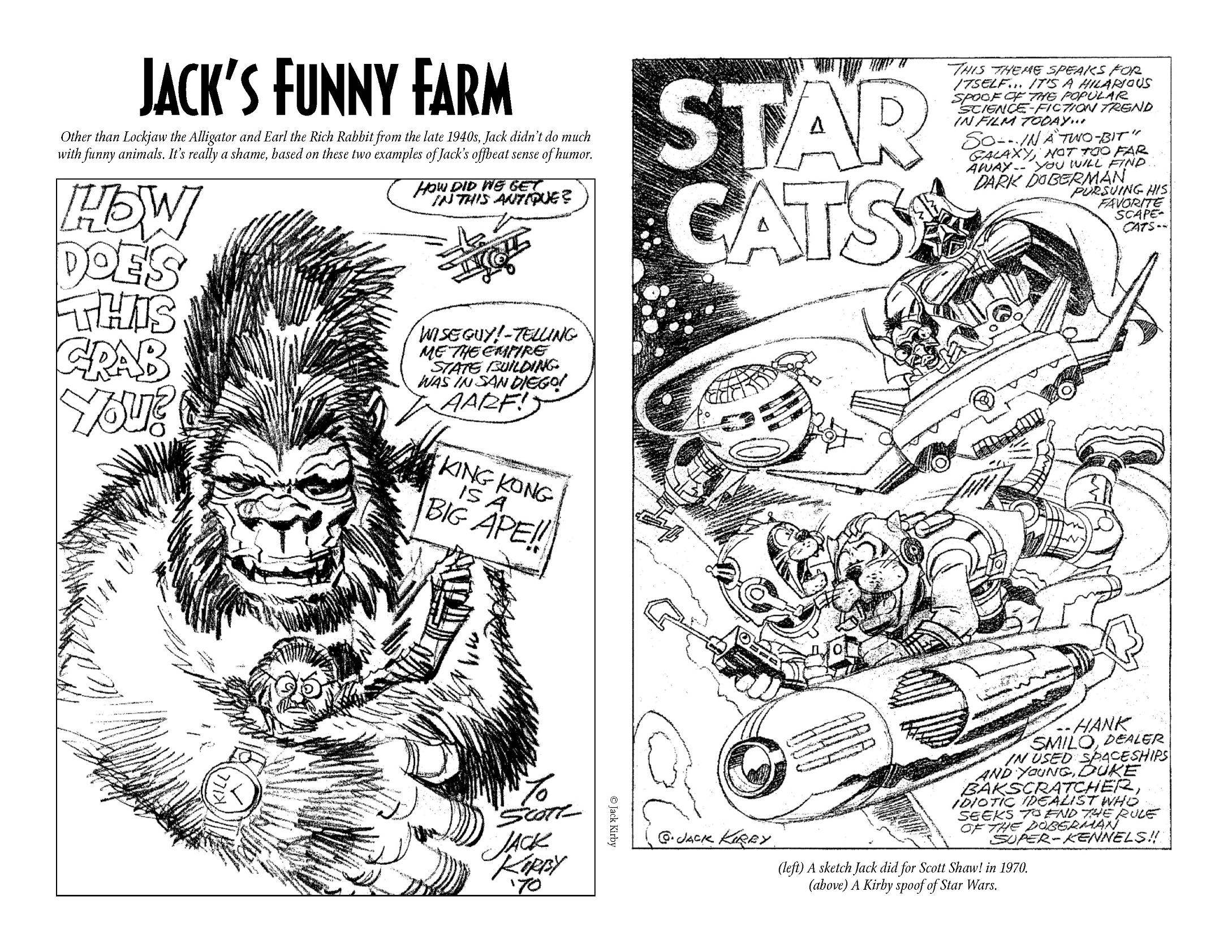 Read online The Jack Kirby Collector comic -  Issue #5 - 16