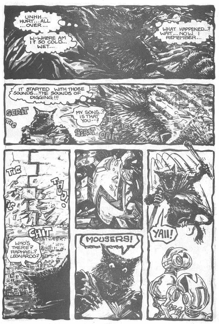 Read online Teenage Mutant Ninja Turtles (1984) comic -  Issue #3 - 32