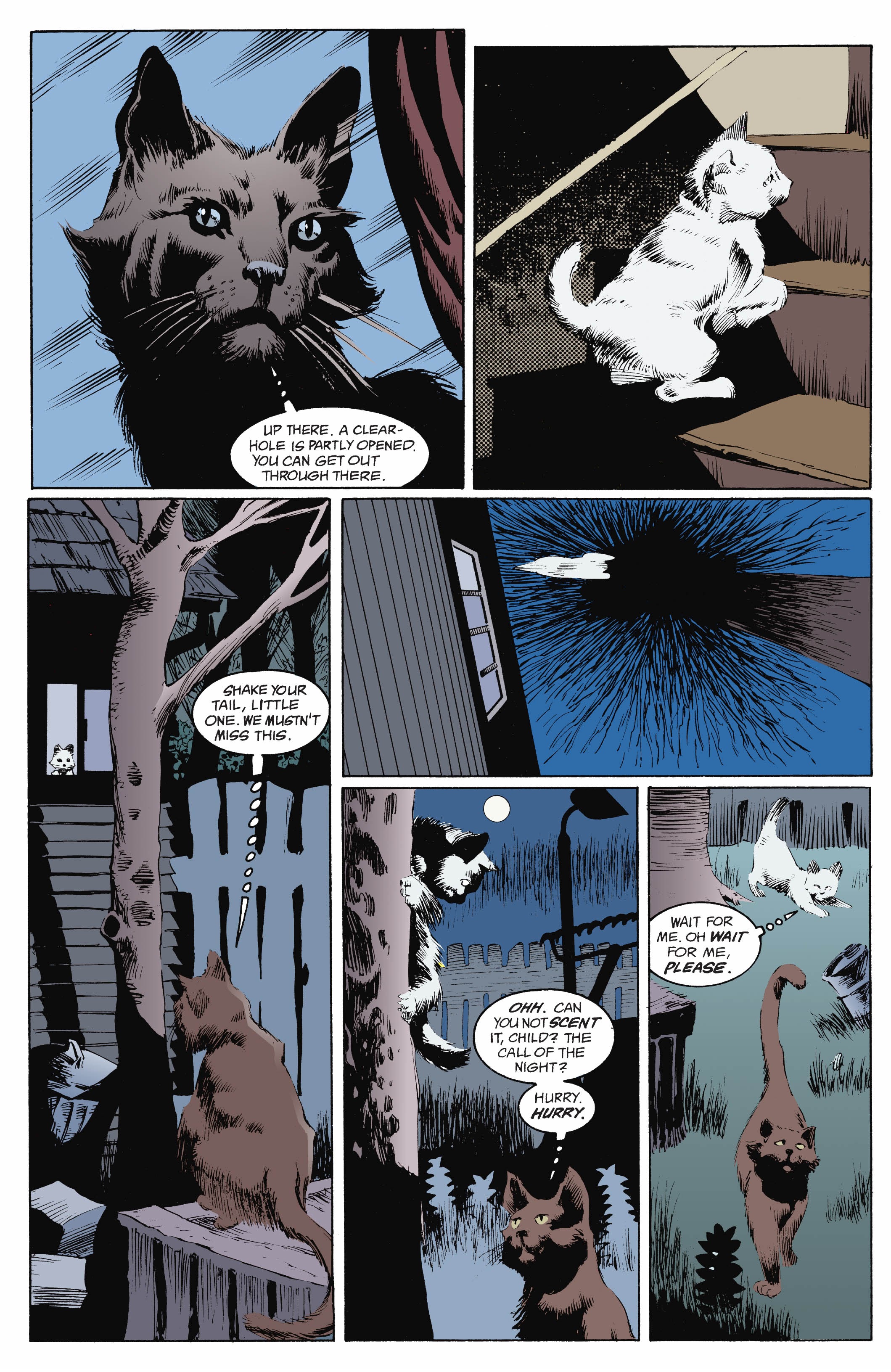 Read online The Sandman (1989) comic -  Issue # _The_Deluxe_Edition 2 (Part 1) - 47