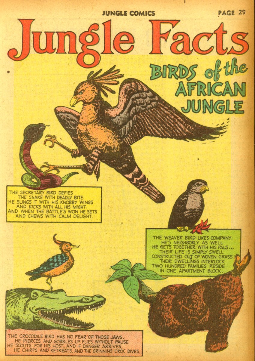 Read online Jungle Comics comic -  Issue #17 - 31