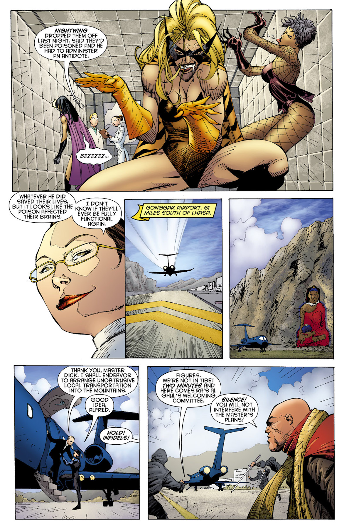 Read online Batman By Paul Dini Omnibus comic -  Issue # TPB (Part 3) - 65