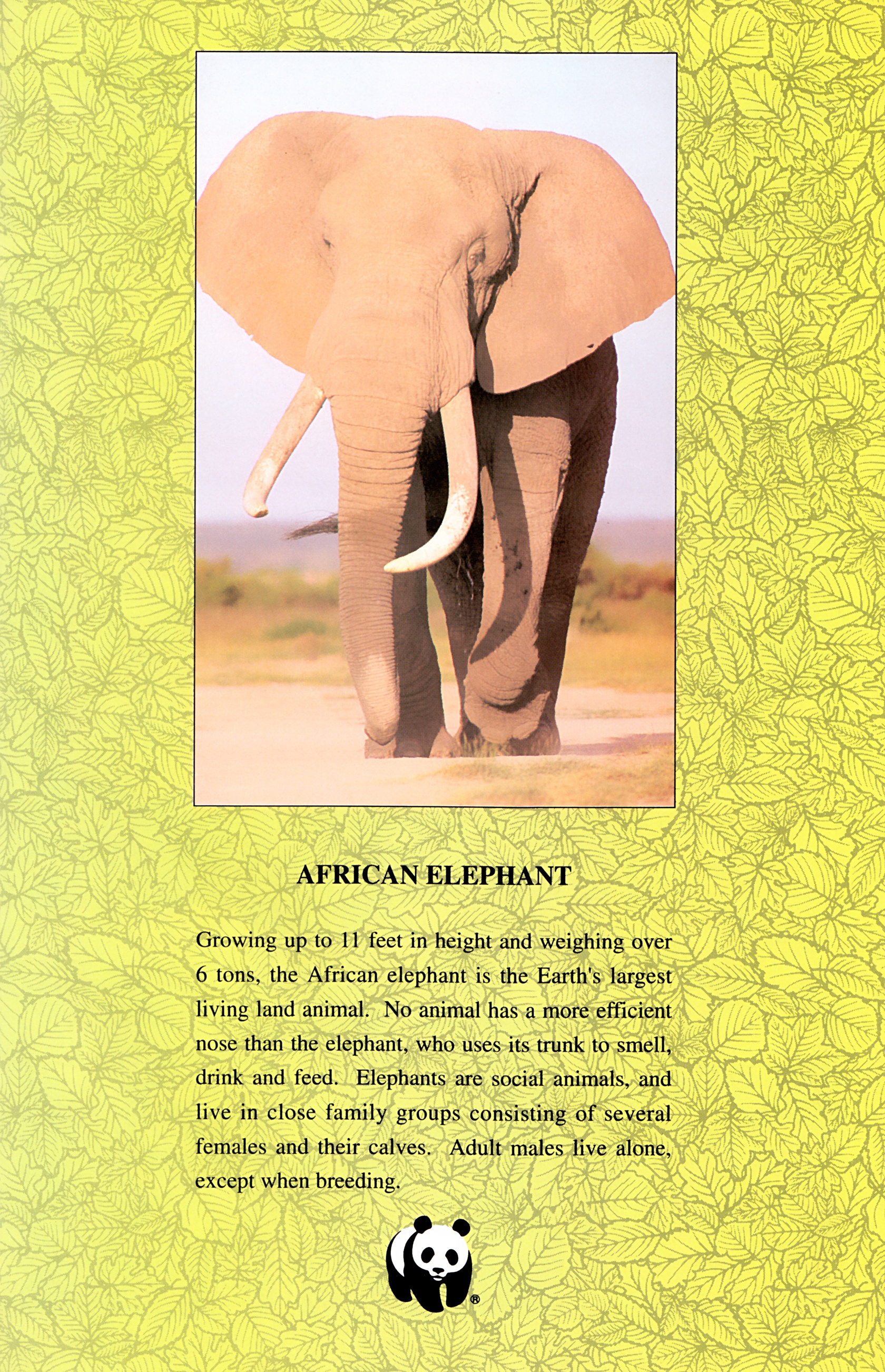 Read online Wolverine: Global Jeopardy comic -  Issue # Full - 27