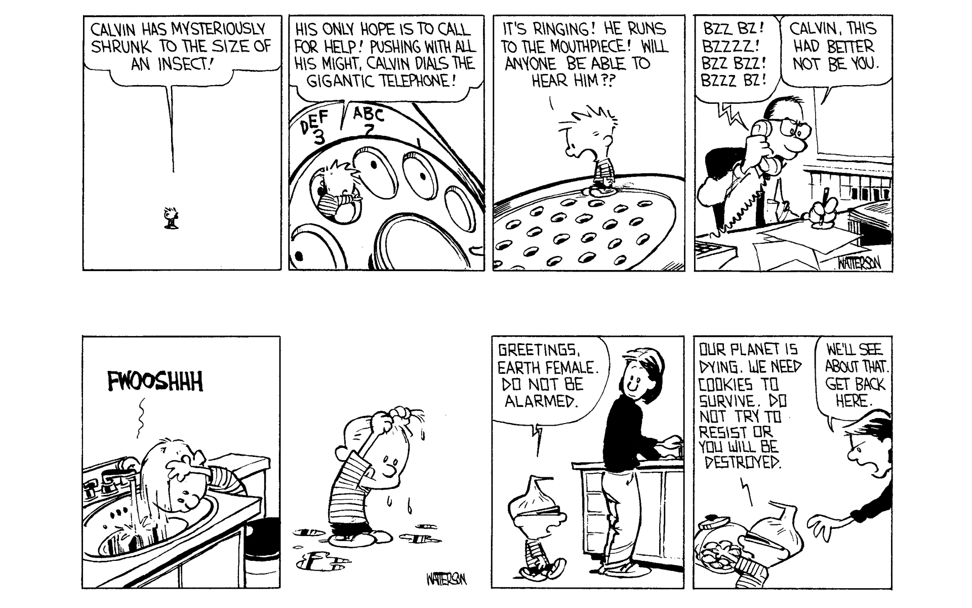 Read online Calvin and Hobbes comic -  Issue #2 - 74