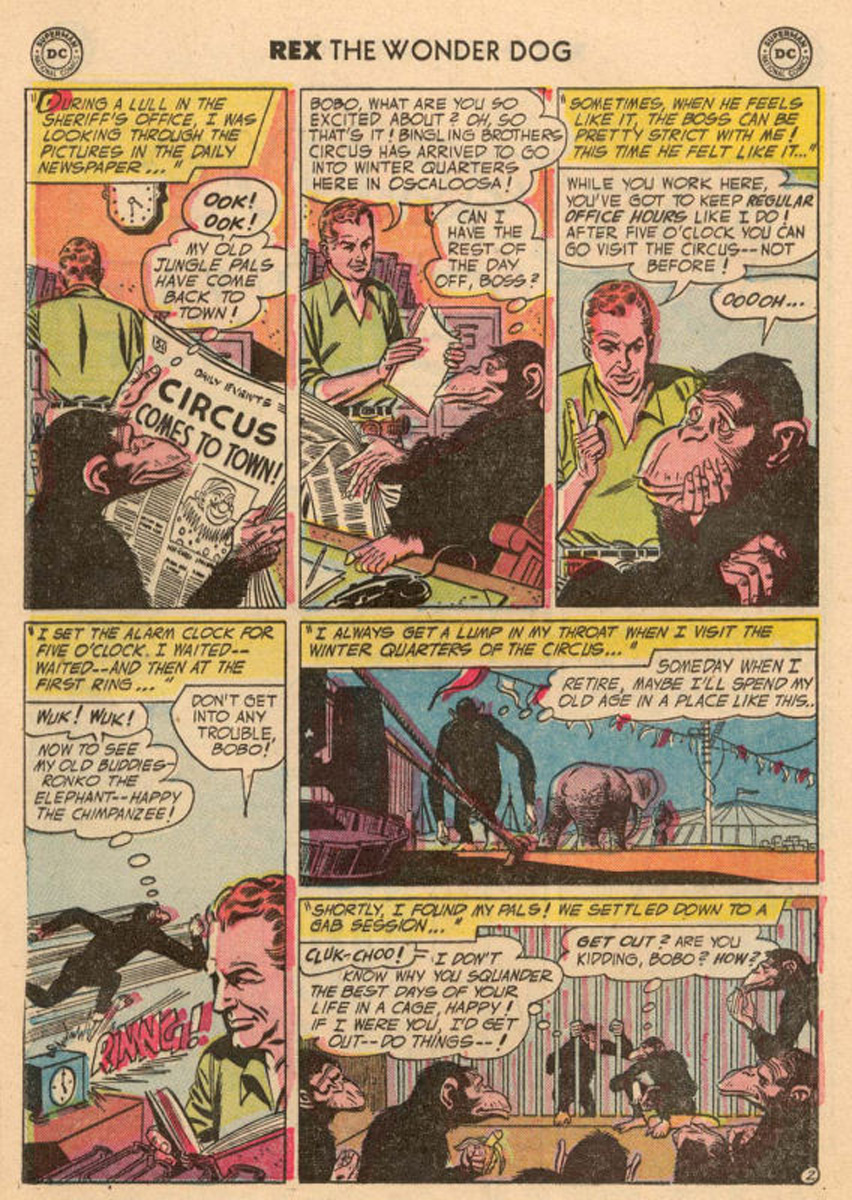 Read online The Adventures of Rex the Wonder Dog comic -  Issue #20 - 16