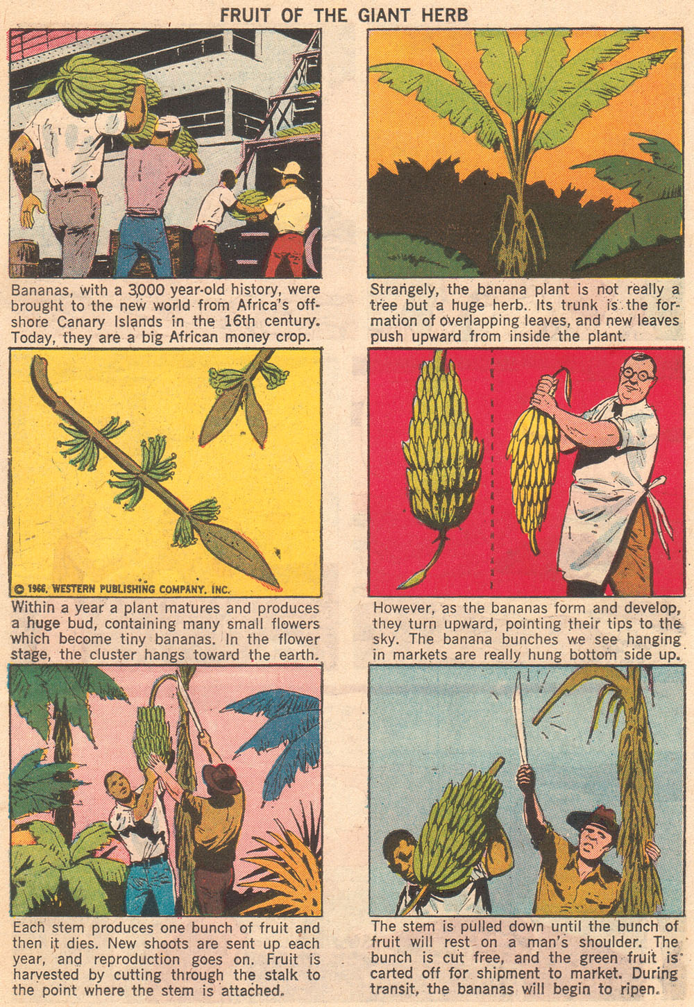 Read online Korak, Son of Tarzan (1964) comic -  Issue #15 - 34