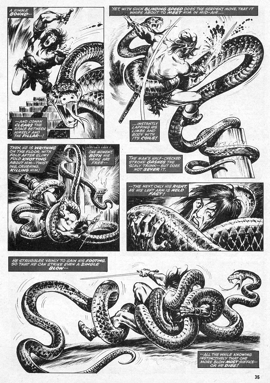 The Savage Sword Of Conan issue 15 - Page 35