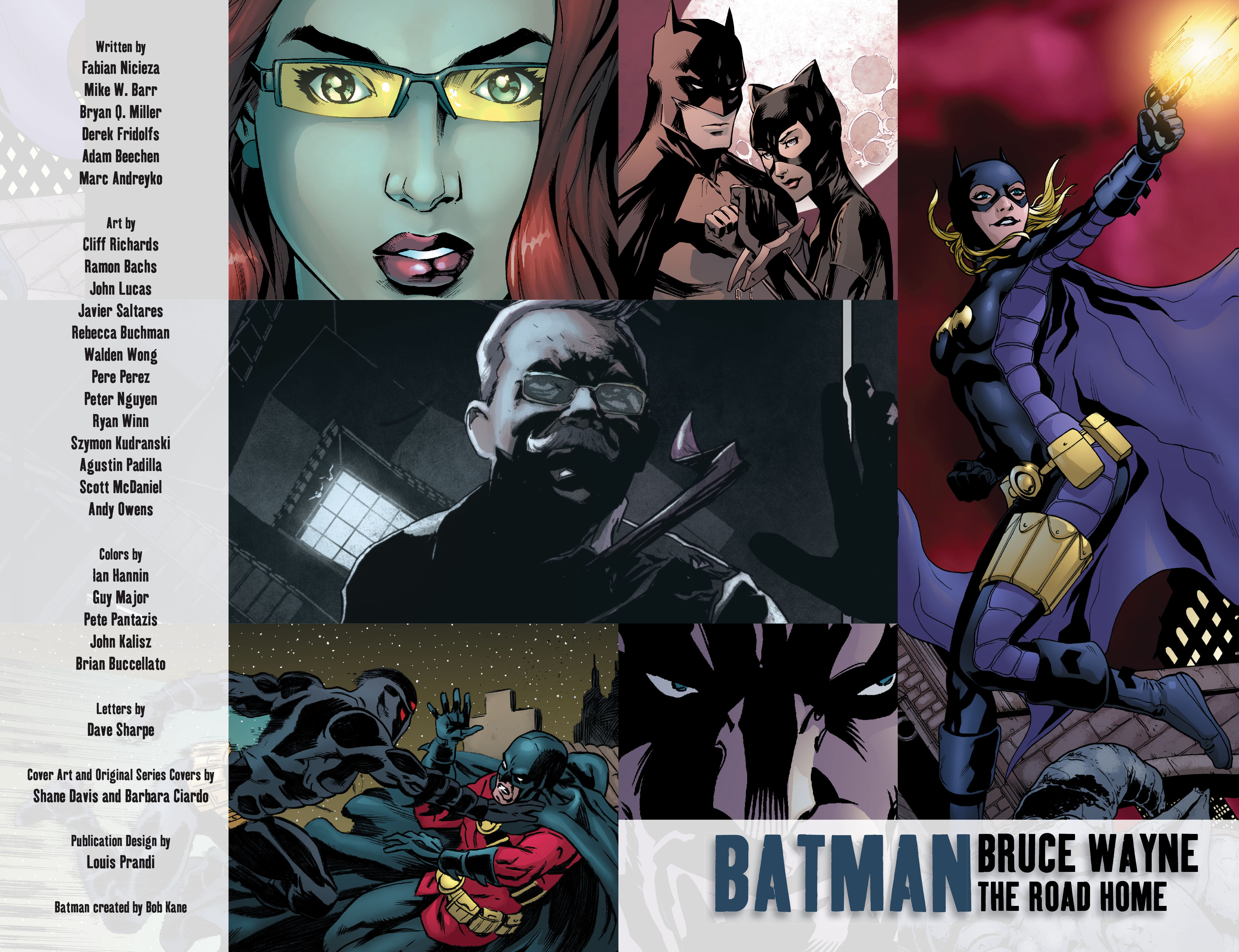 Read online Batman: Bruce Wayne - The Road Home comic -  Issue # TPB - 4