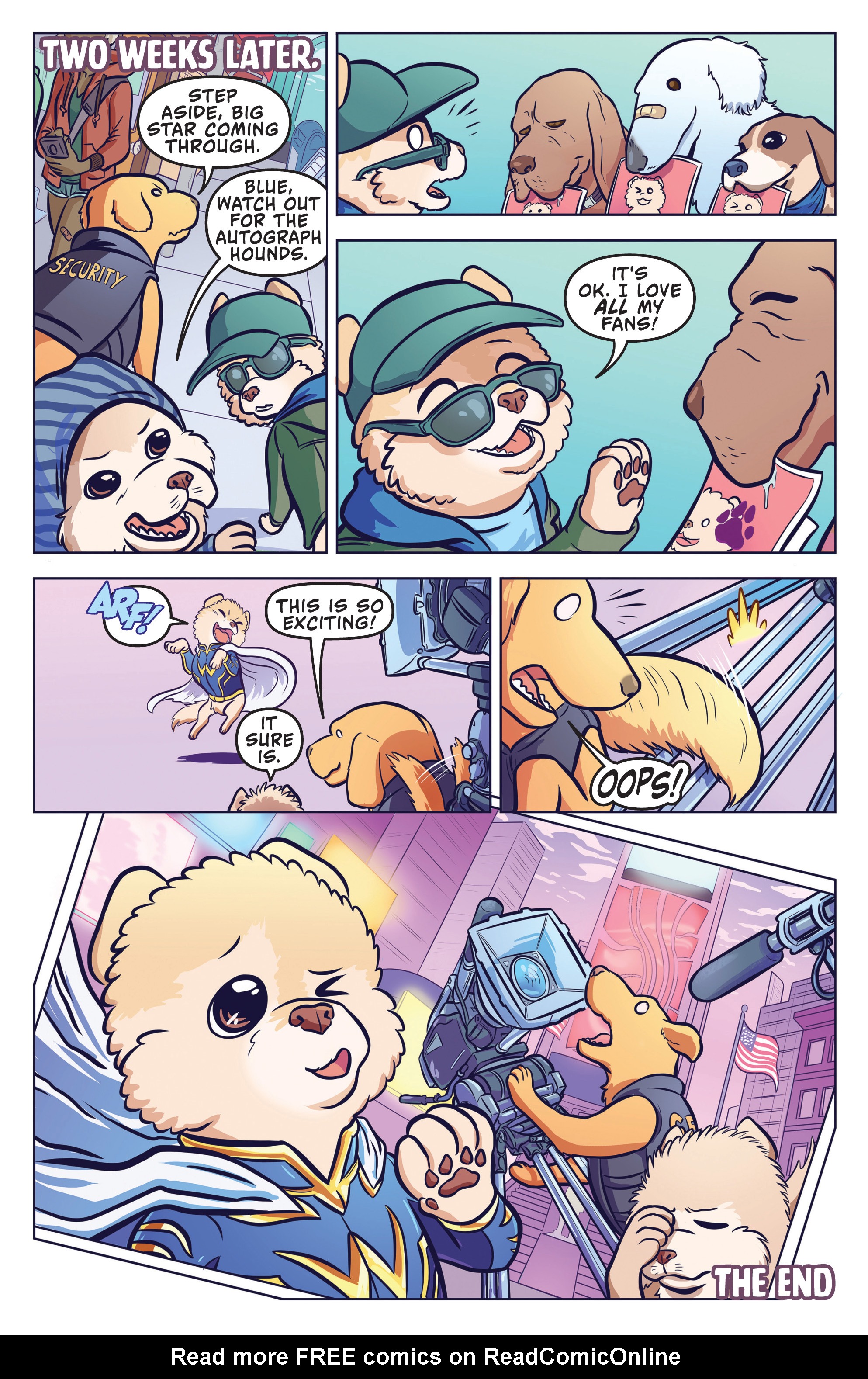 Read online Boo, The World's Cutest Dog comic -  Issue #1 - 30