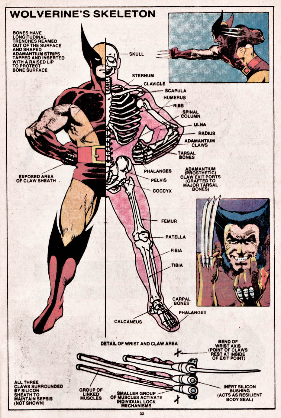 The Official Handbook of the Marvel Universe issue 15 - Page 33