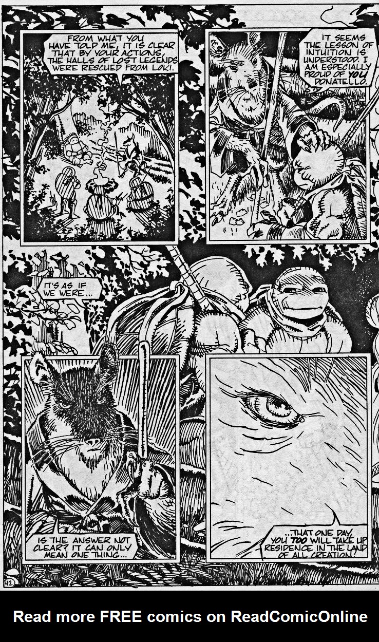 Read online Teenage Mutant Ninja Turtles (1984) comic -  Issue #43 - 44
