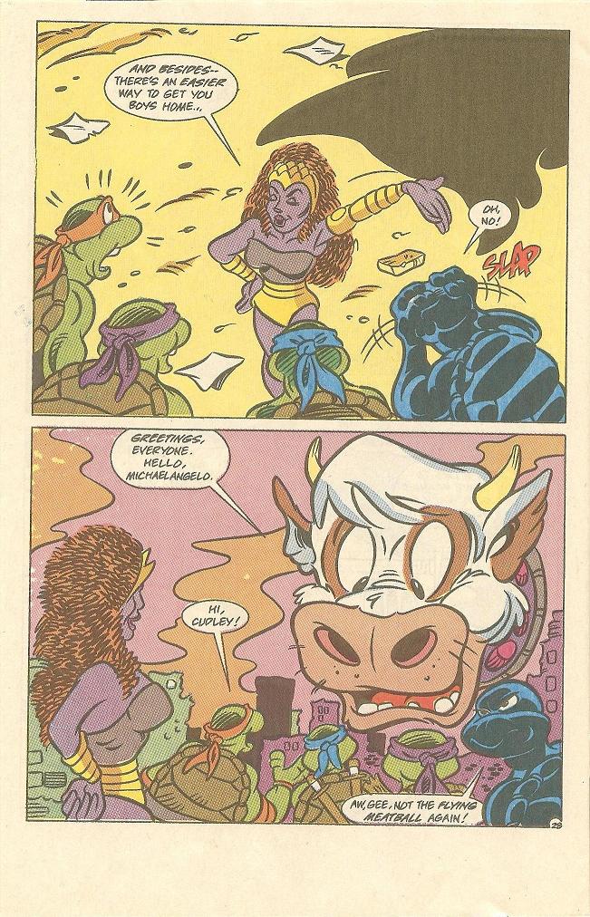 Read online Teenage Mutant Ninja Turtles Adventures (1989) comic -  Issue #13 - 29