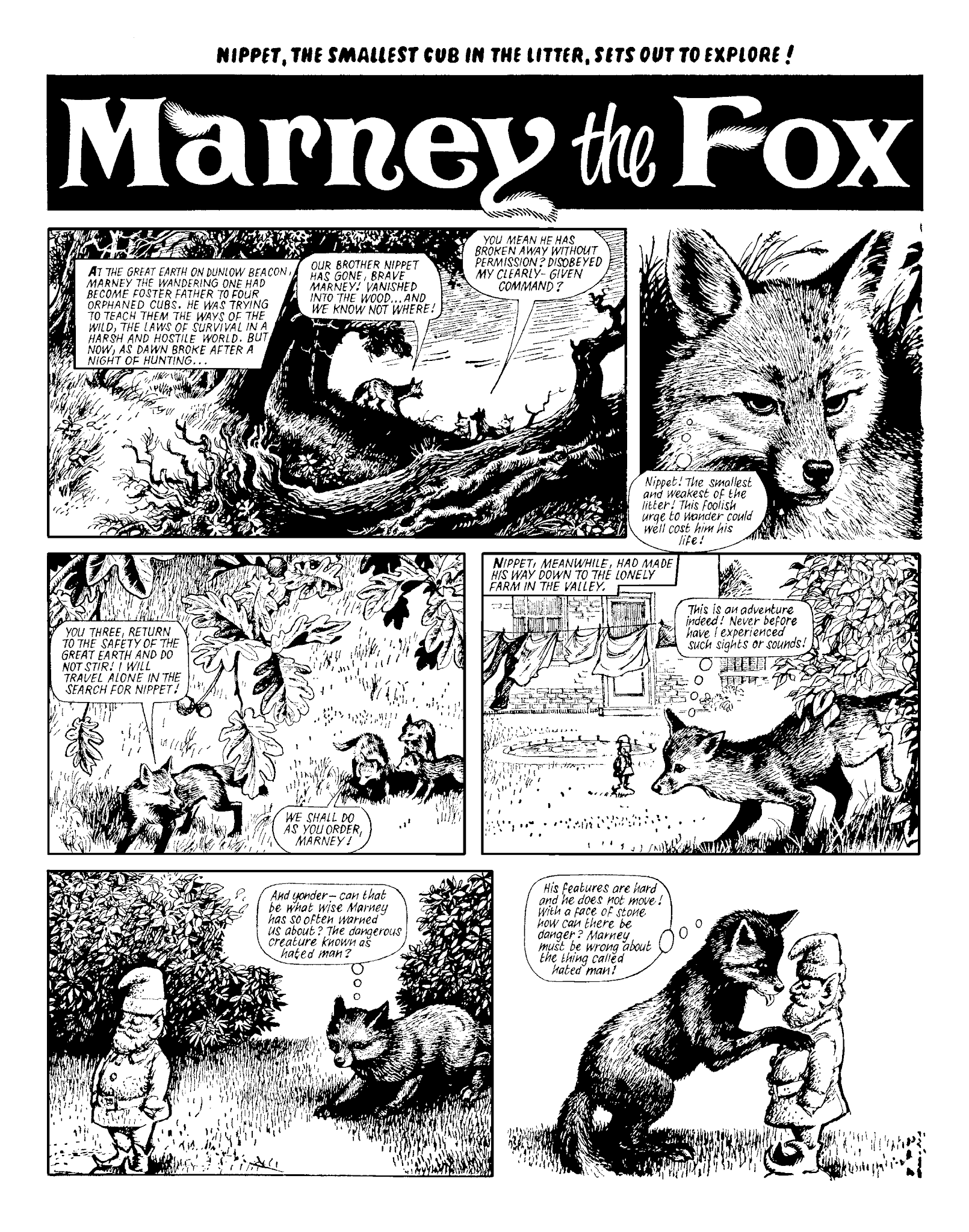 Read online Marney the Fox comic -  Issue # TPB (Part 2) - 80