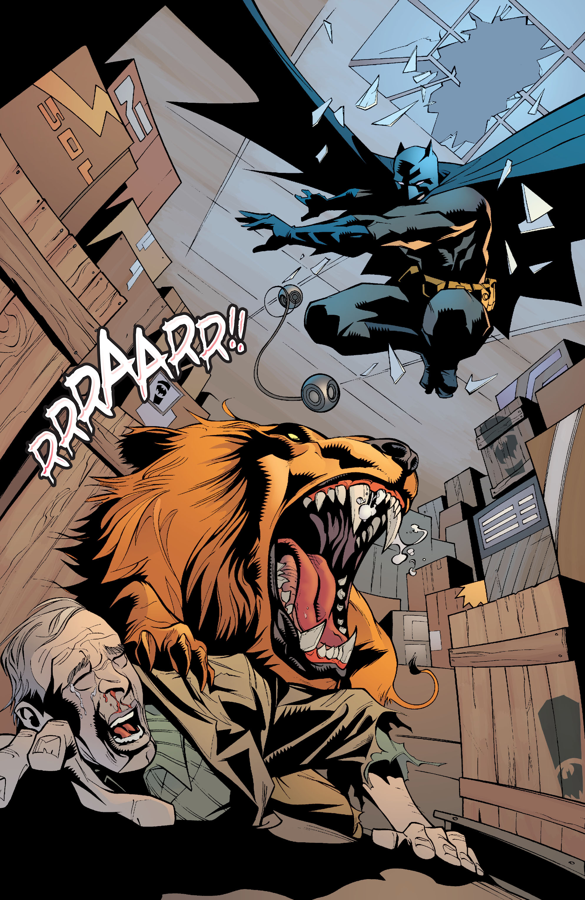 Read online Batman: Heart of Hush comic -  Issue # TPB - 25