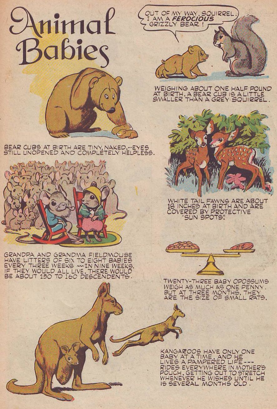 Read online Animal Comics comic -  Issue #25 - 45