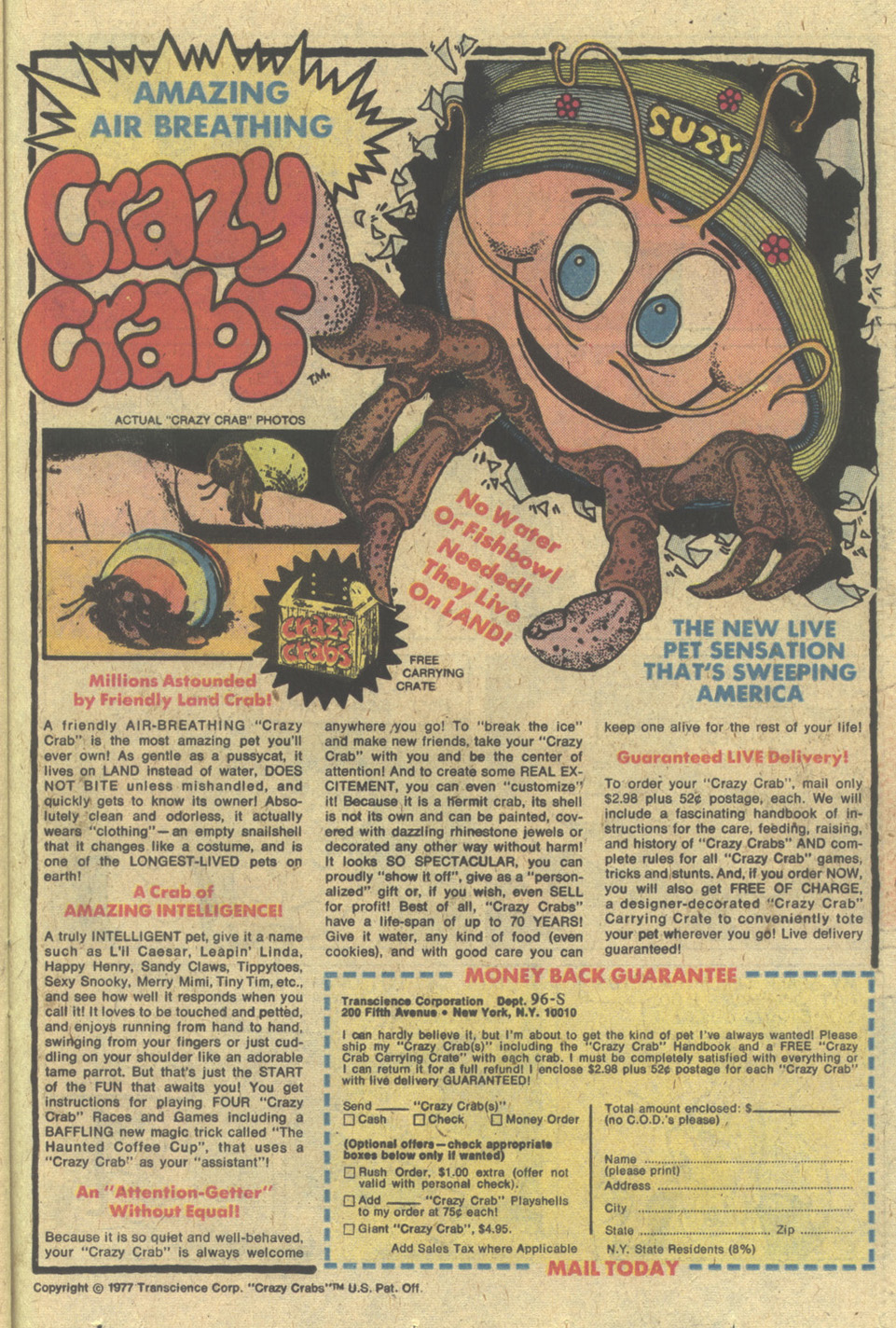 Read online Walt Disney Daisy and Donald comic -  Issue #32 - 23