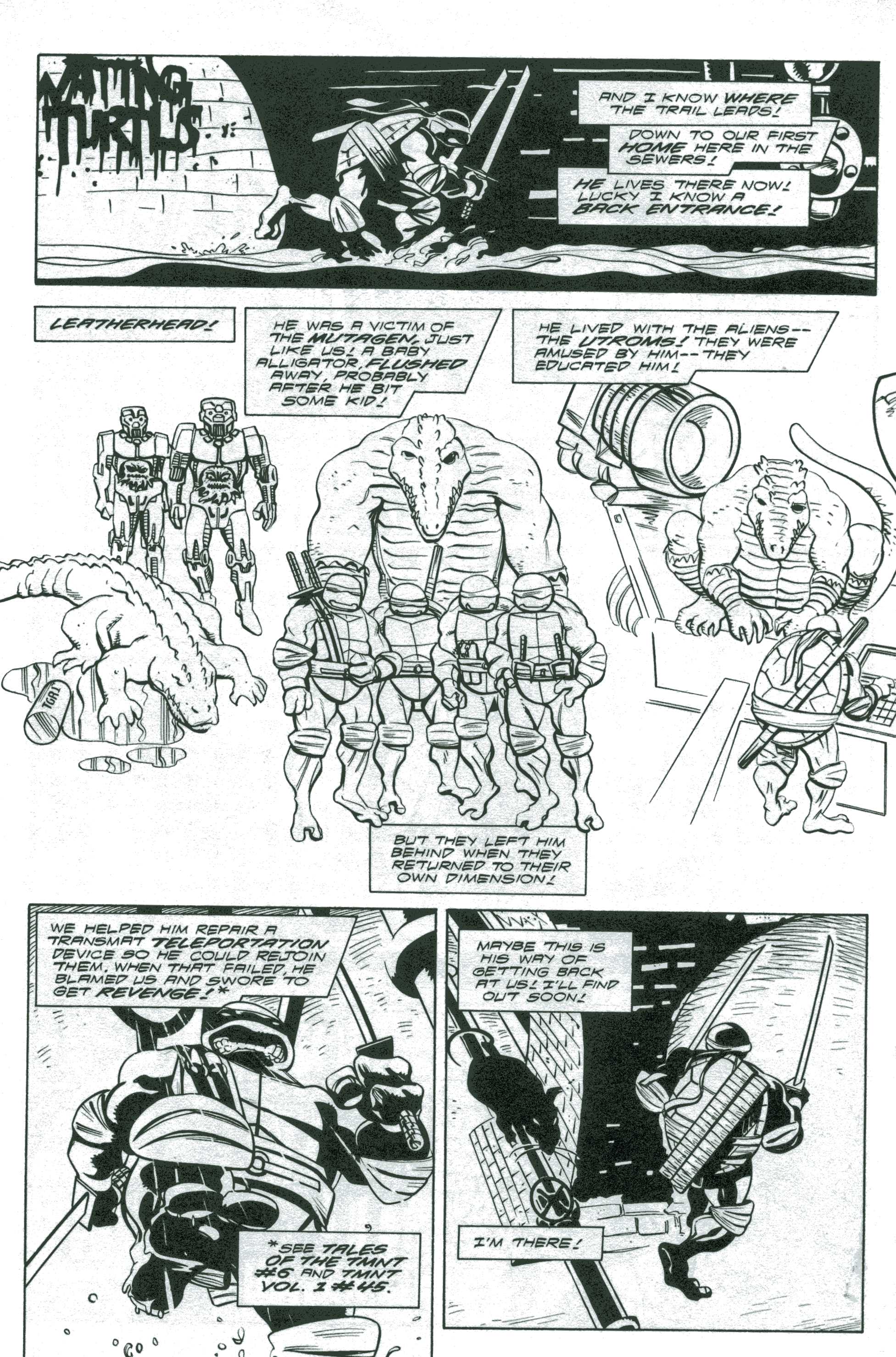 Read online Teenage Mutant Ninja Turtles (1996) comic -  Issue #17 - 19