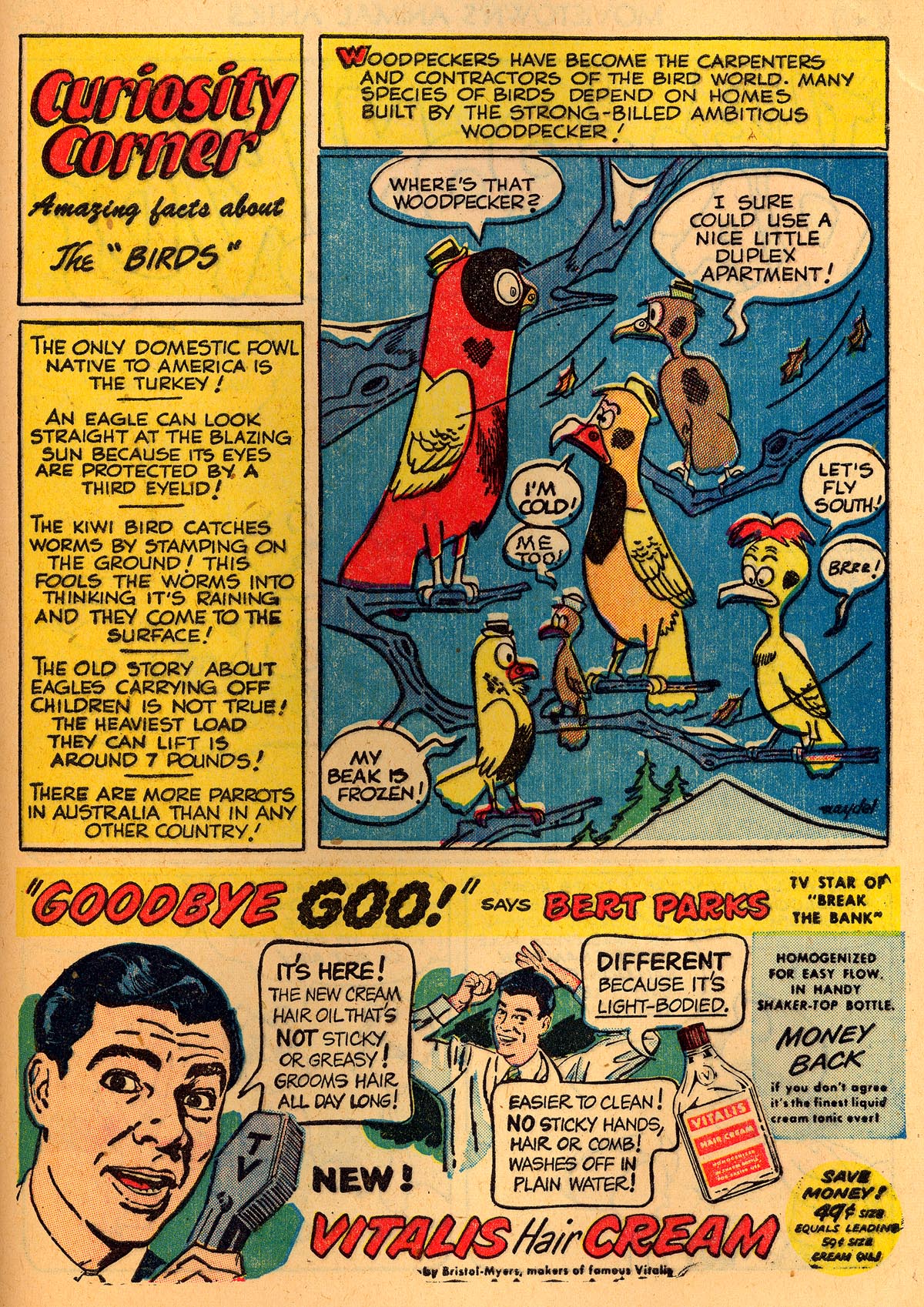 Read online Animal Antics comic -  Issue #34 - 43