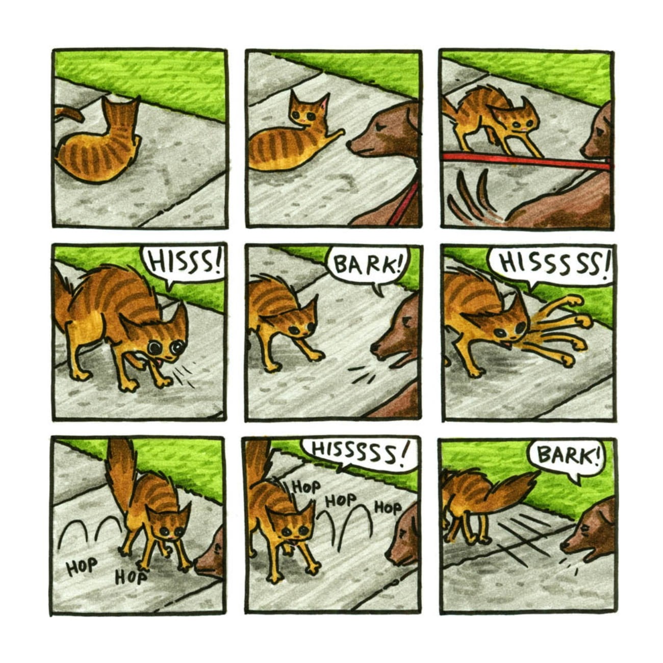 Read online Cats are Weird and More Observations comic -  Issue # TPB - 59