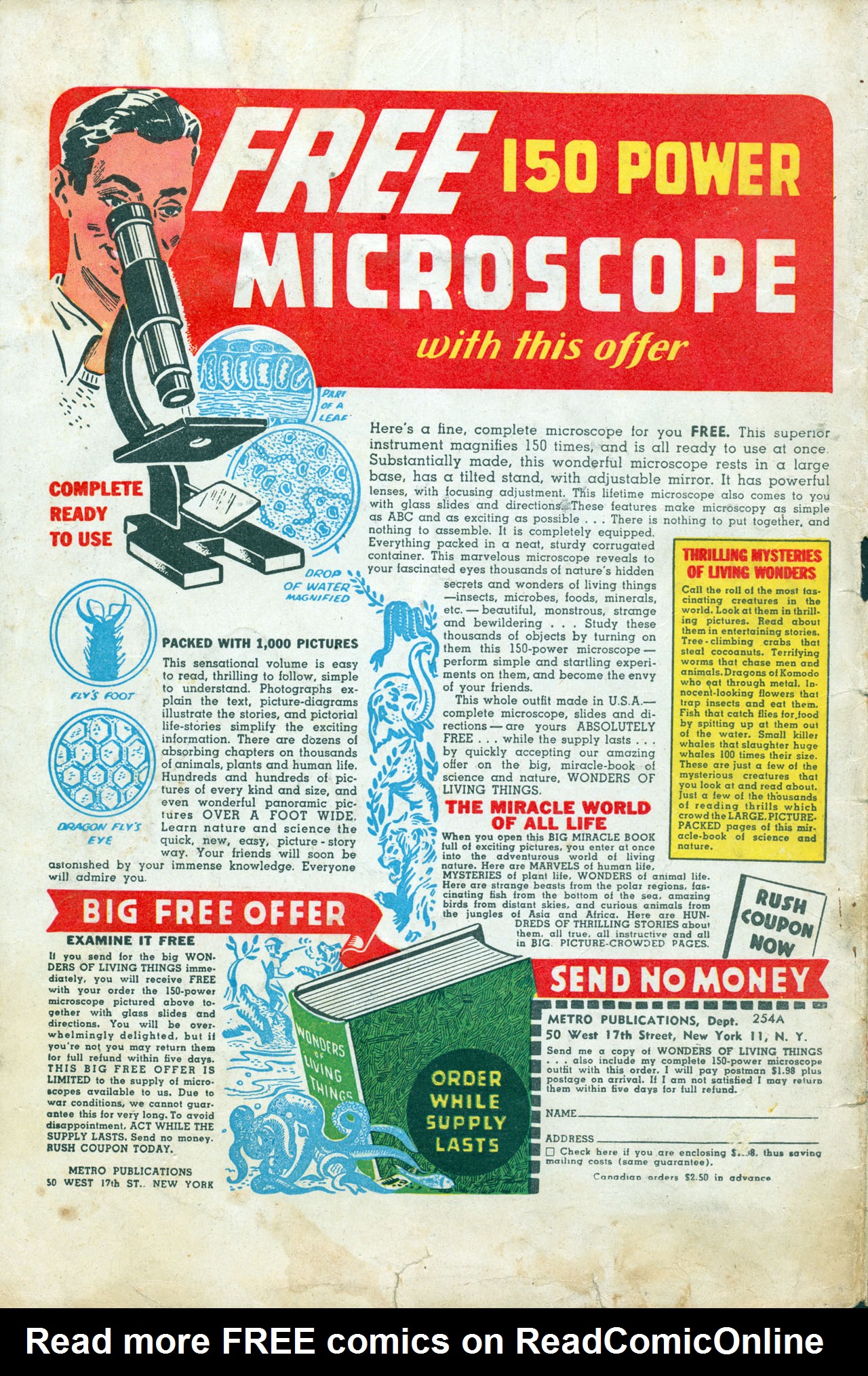 Read online Ziggy Pig-Silly Seal Comics (1944) comic -  Issue #3 - 36