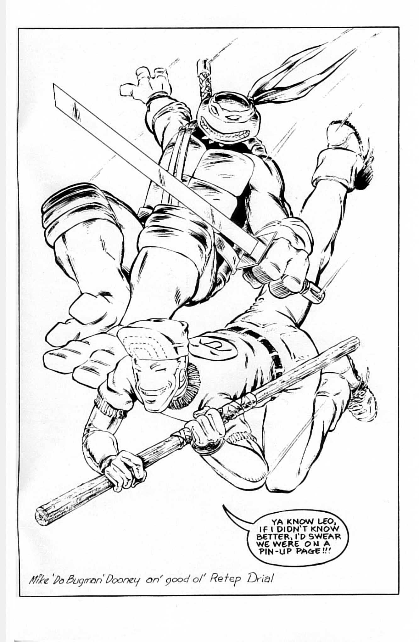 Read online Teenage Mutant Ninja Turtles (1984) comic -  Issue #13 - 47