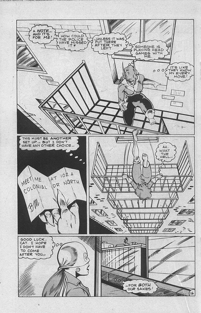 Read online She-Cat comic -  Issue #2 - 18