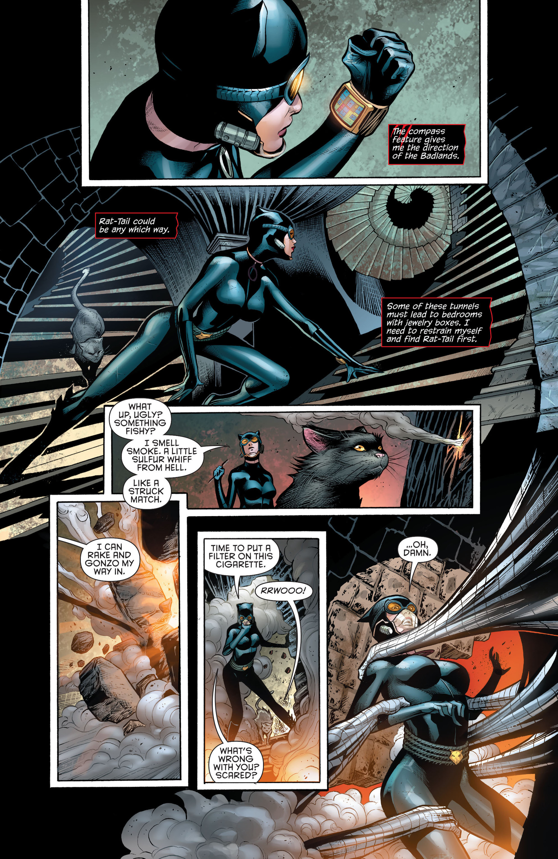 Read online Catwoman (2011) comic -  Issue #22 - 11