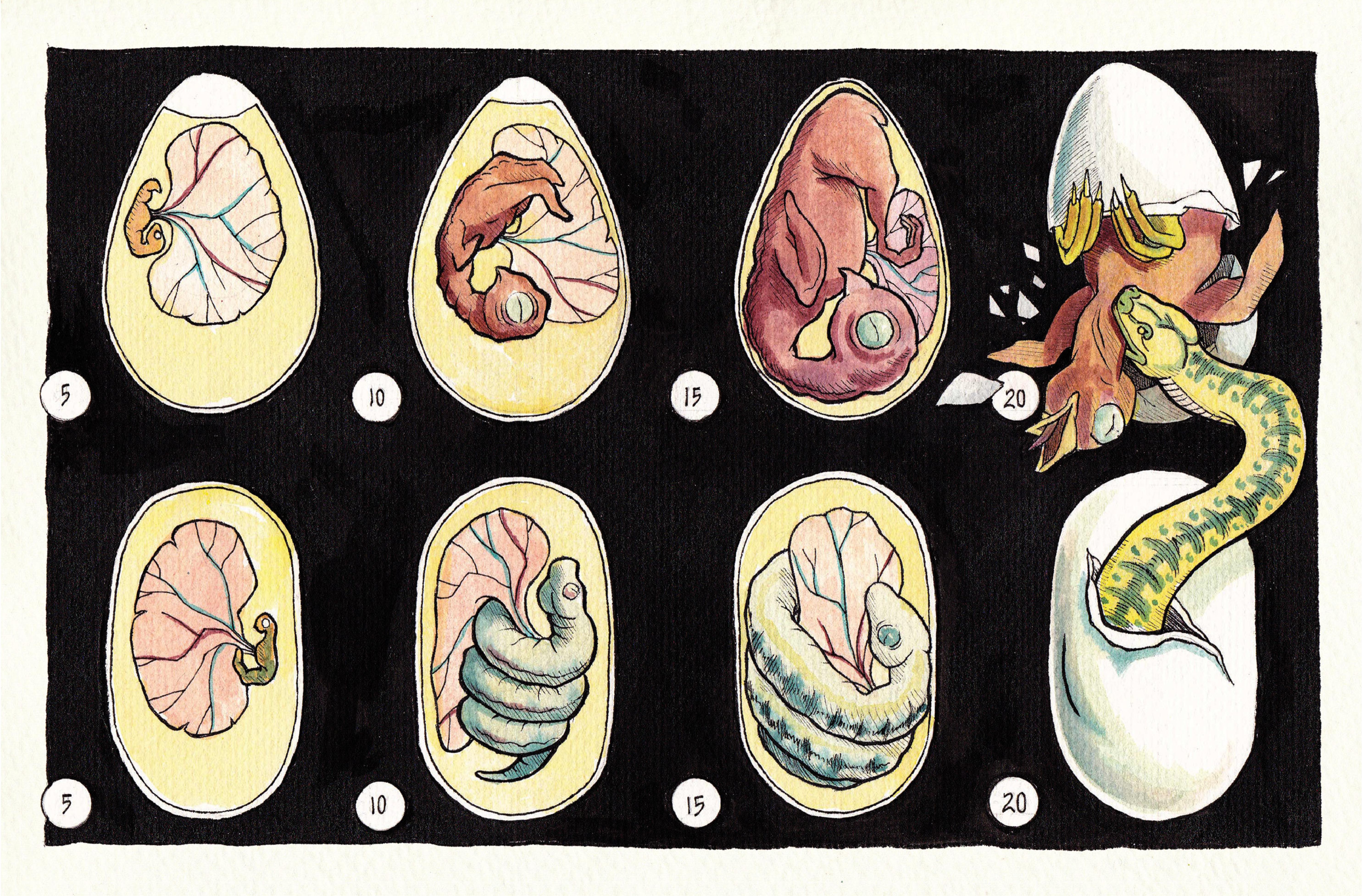 Read online Vivisectionary comic -  Issue # TPB - 6