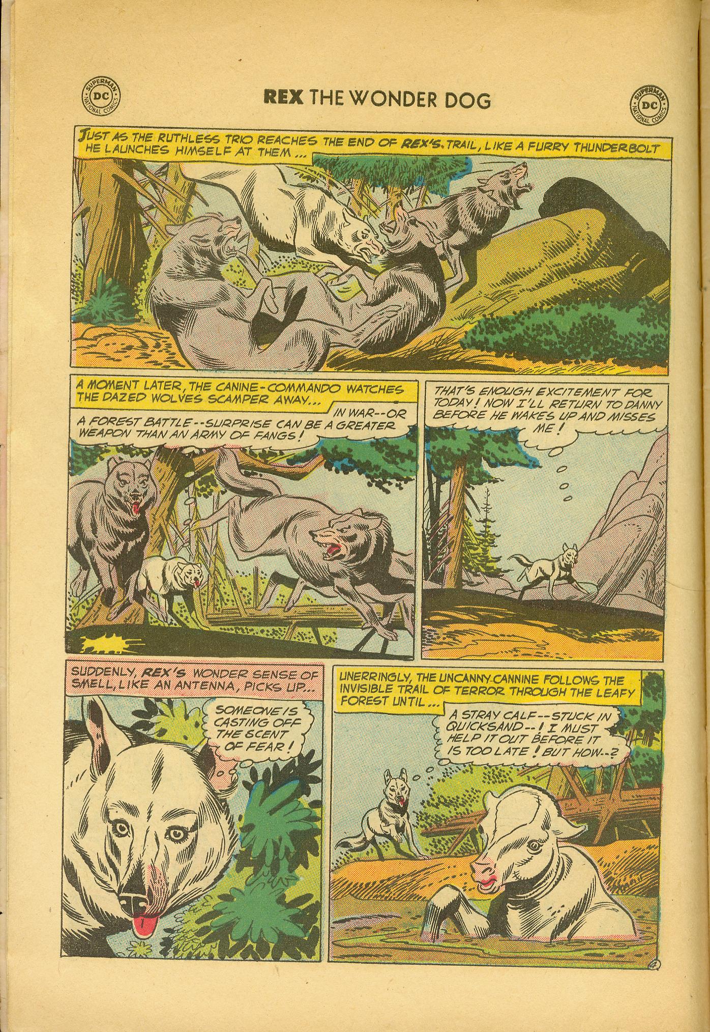 Read online The Adventures of Rex the Wonder Dog comic -  Issue #33 - 6