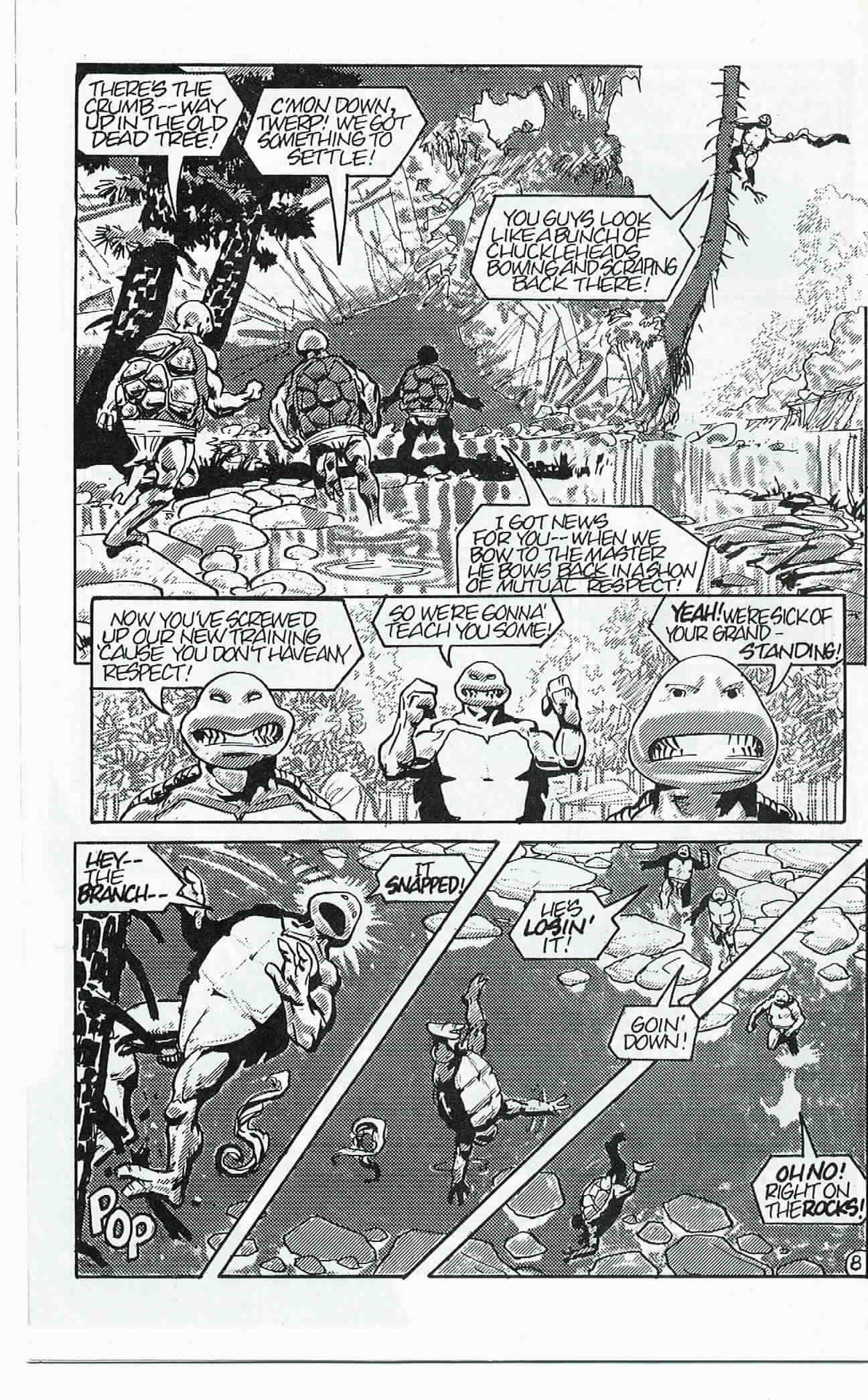 Teenage Mutant Ninja Turtles (1984) Issue #24 #24 - English 9