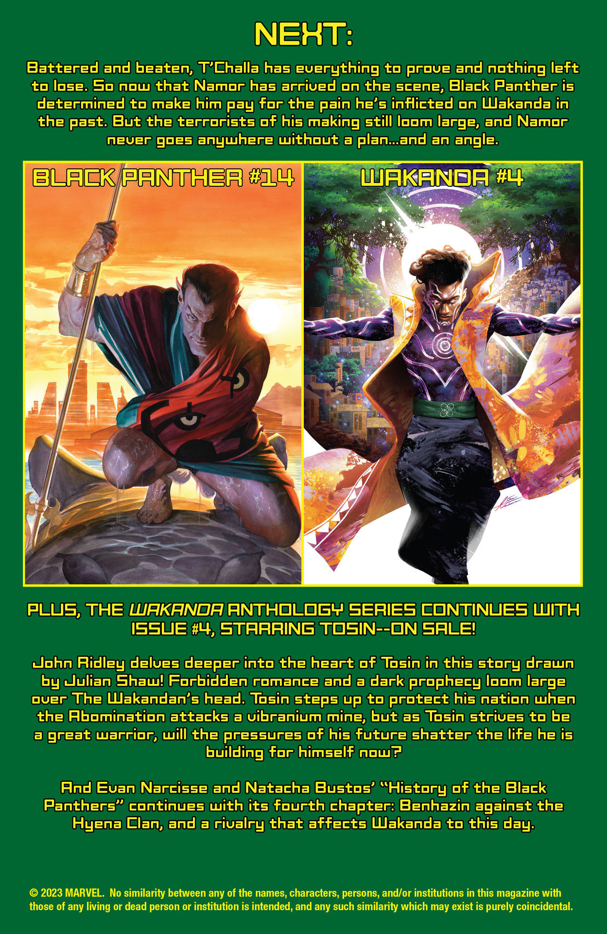 Read online Black Panther (2021) comic -  Issue #13 - 24