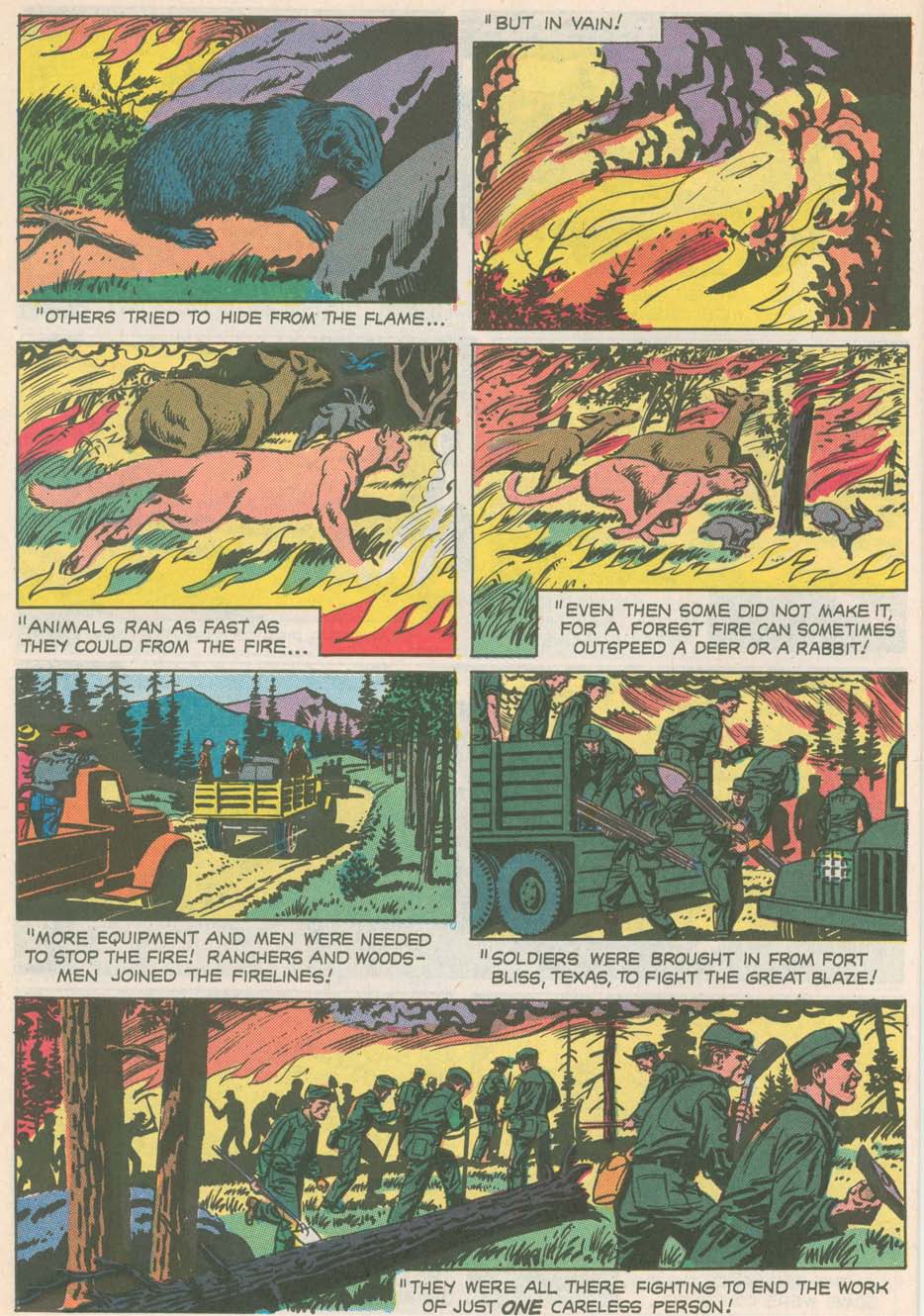 Read online The True Story of Smokey  Bear comic -  Issue # Full - 8