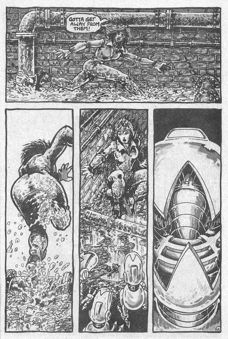 Read online Teenage Mutant Ninja Turtles (1984) comic -  Issue #2 - 17
