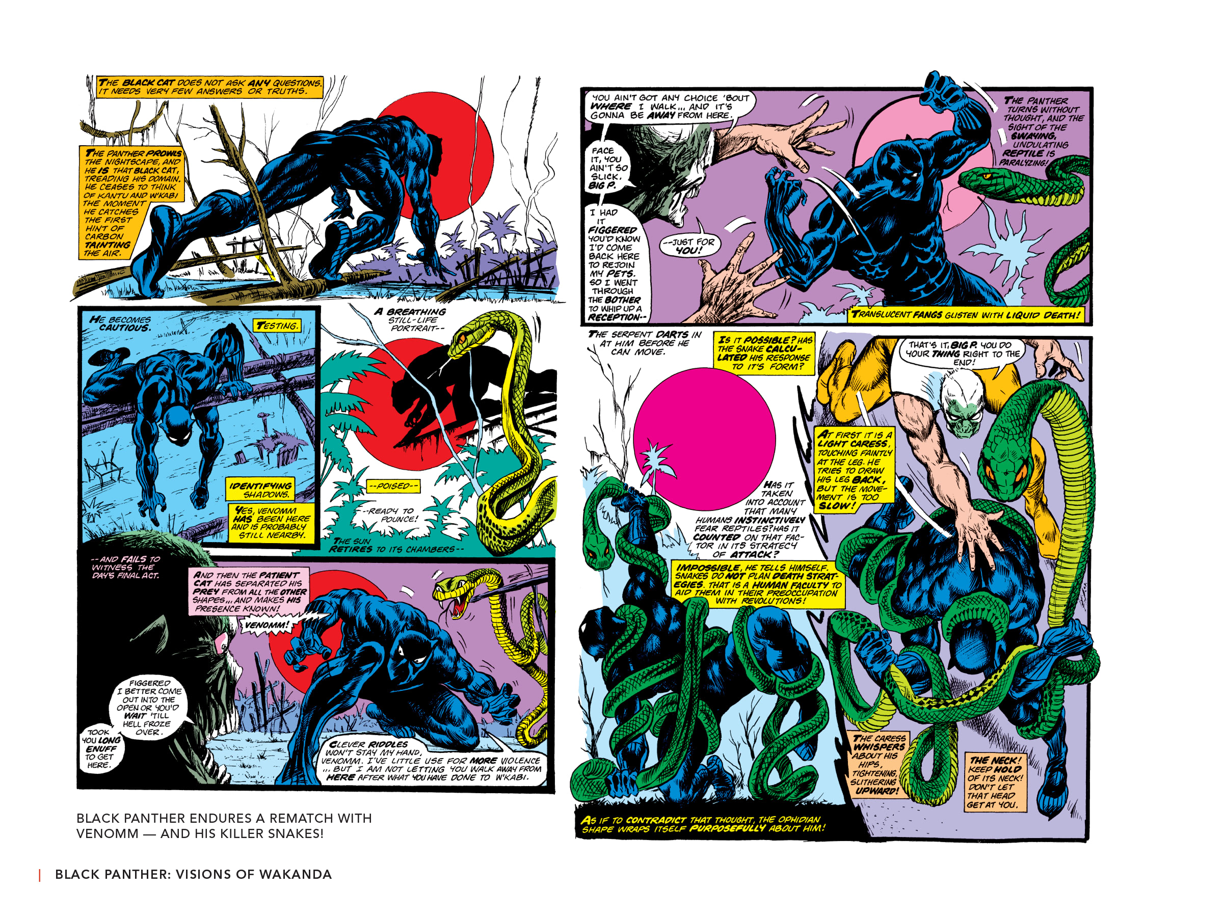 Read online Black Panther: Visions of Wakanda comic -  Issue # TPB (Part 1) - 76