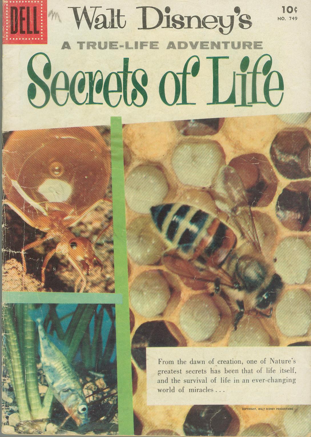 Read online Four Color Comics comic -  Issue #749 - 1