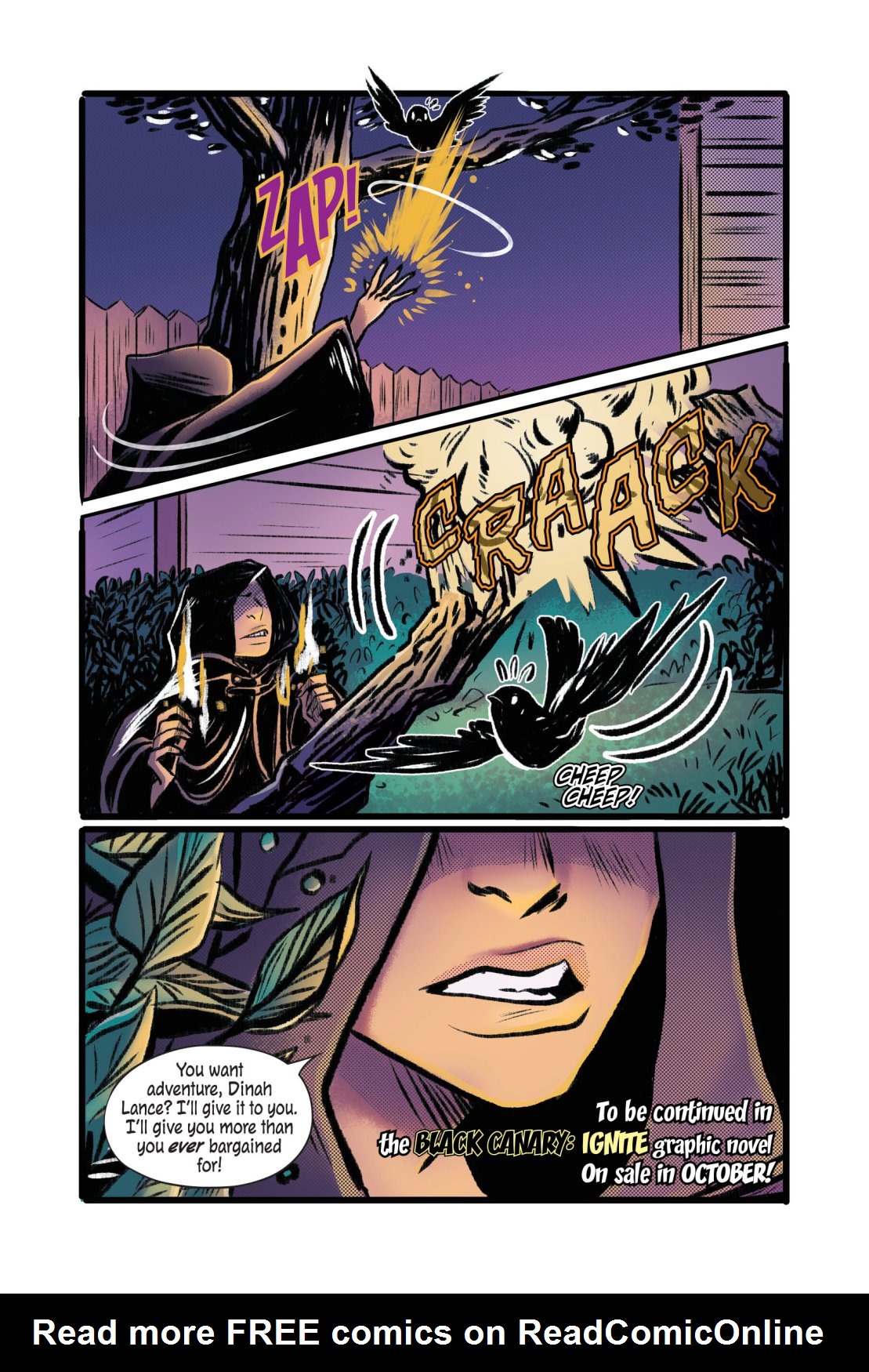 Read online The Secret Spiral of Swamp Kid/Black Canary: Ignite (Halloween ComicFest Special Edition) comic -  Issue # Full - 31