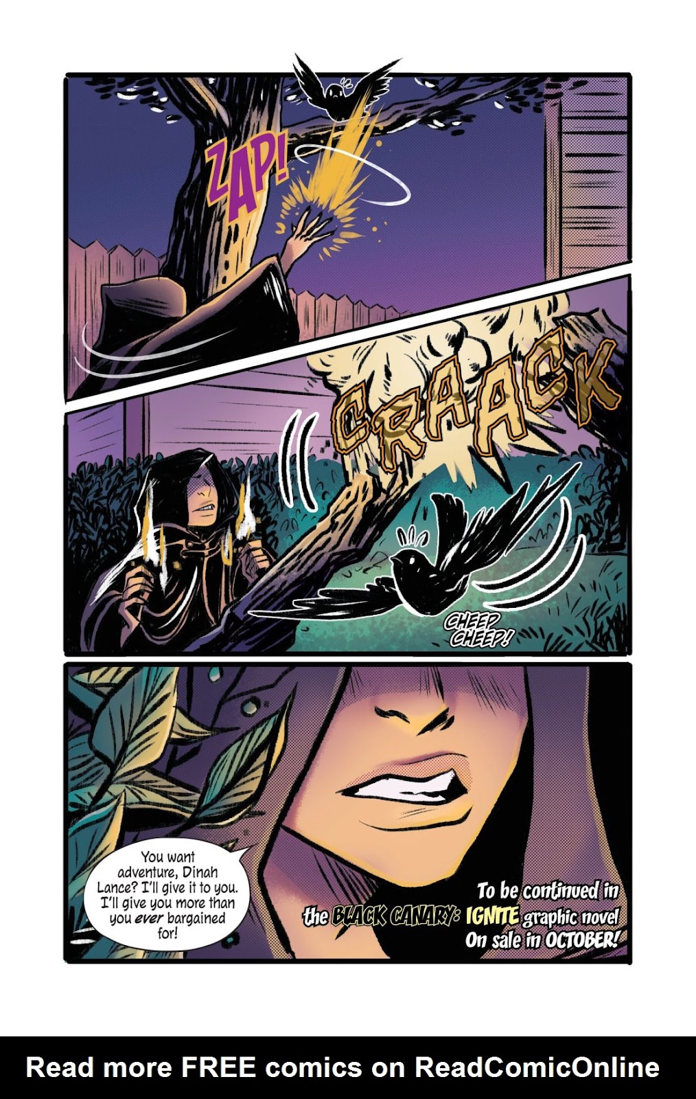 The Secret Spiral of Swamp Kid/Black Canary: Ignite (Halloween ComicFest Special Edition) issue Full - Page 31
