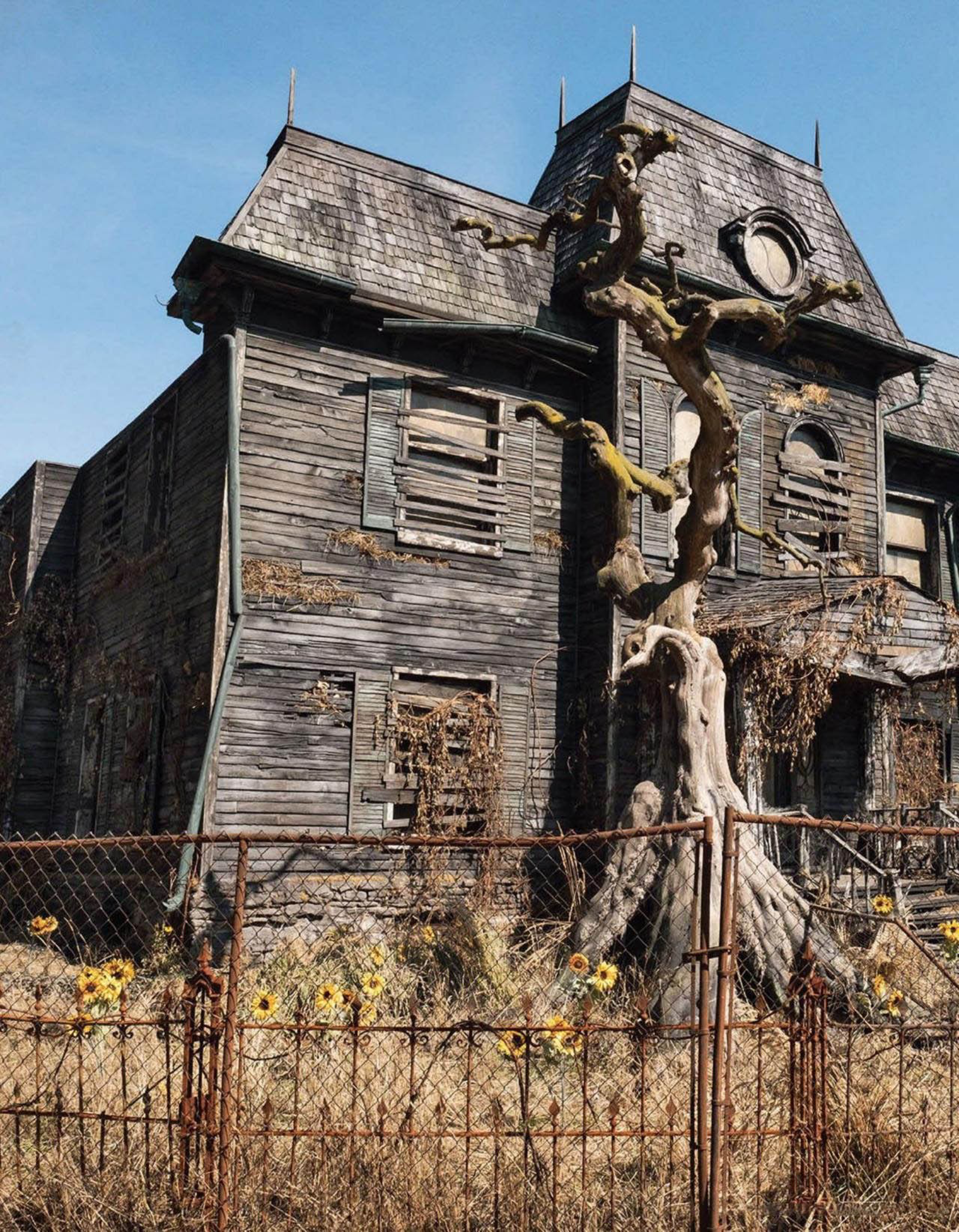 Read online The World of IT comic -  Issue # TPB (Part 1) - 51