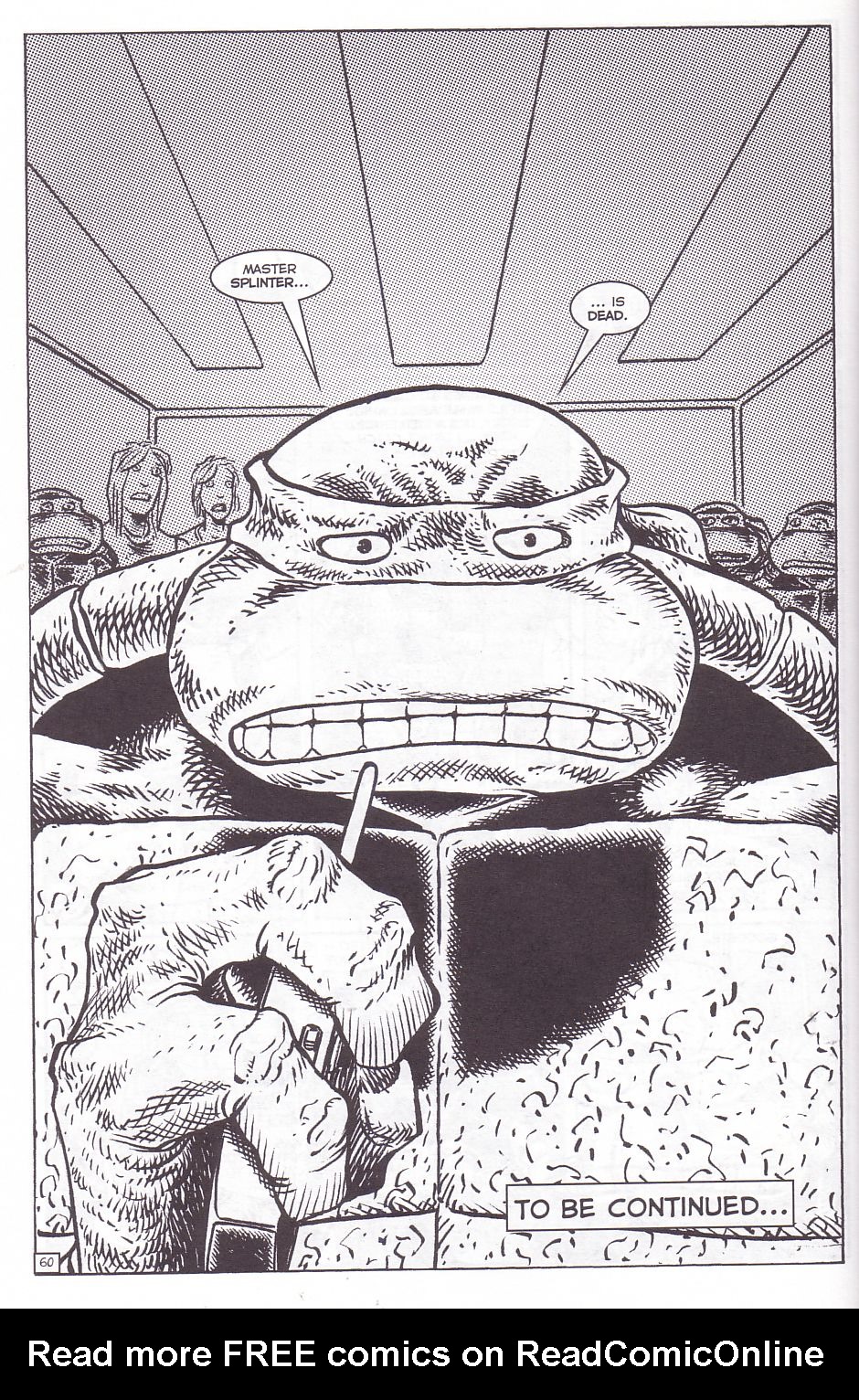 TMNT: Teenage Mutant Ninja Turtles Issue #10 #10 - English 61