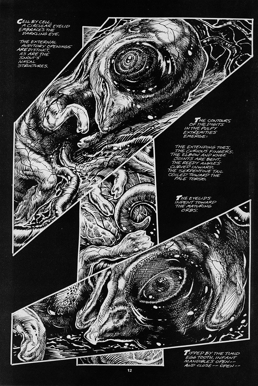 Read online S.R. Bissette's Tyrant comic -  Issue #3 - 14