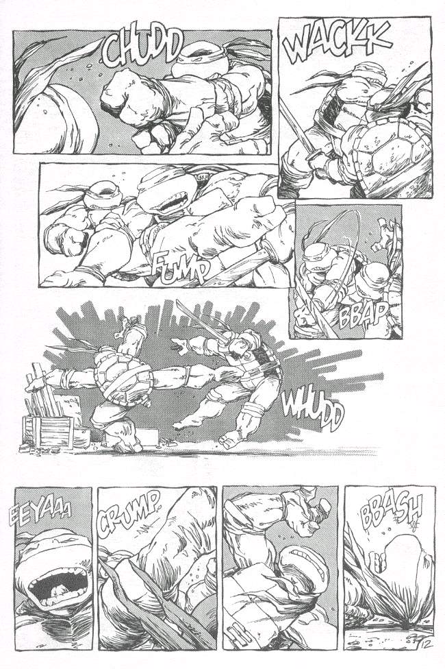 Read online Teenage Mutant Ninja Turtles (1984) comic -  Issue #19 - 13