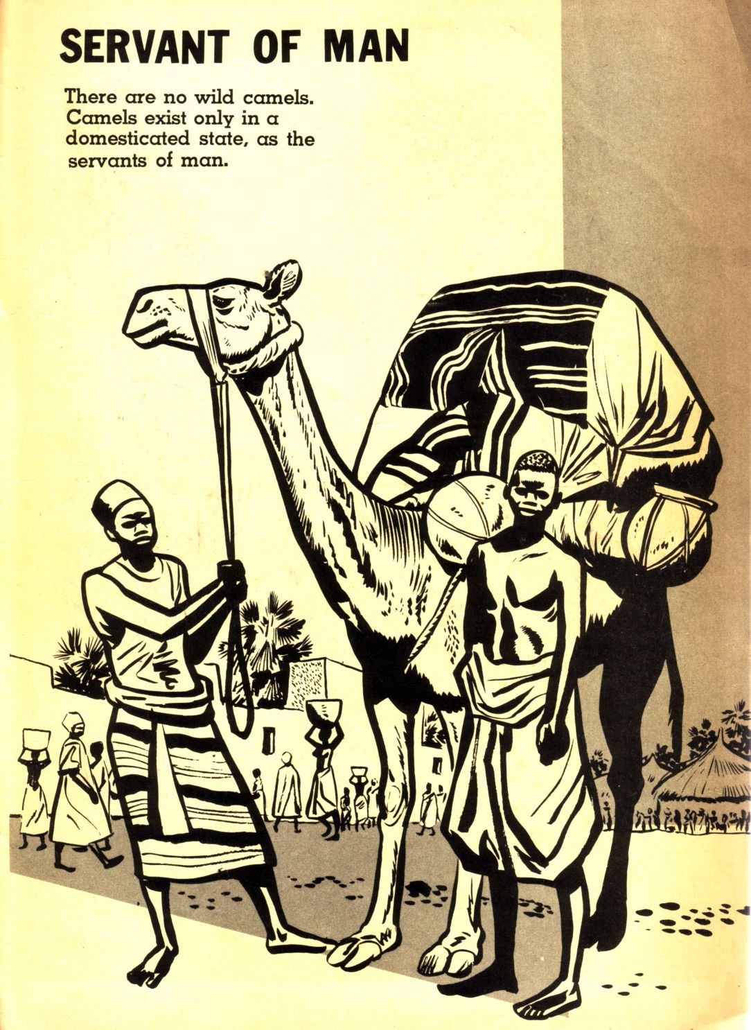 Read online Tarzan (1948) comic -  Issue #102 - 35