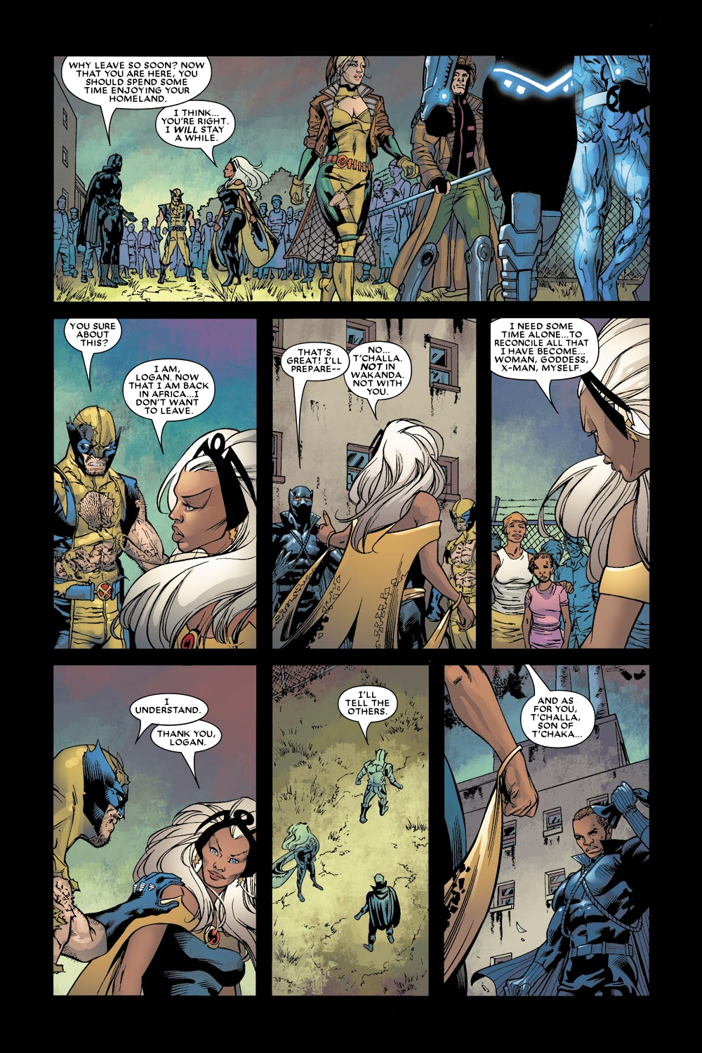 Read online Black Panther (2005) comic -  Issue #9 - 22