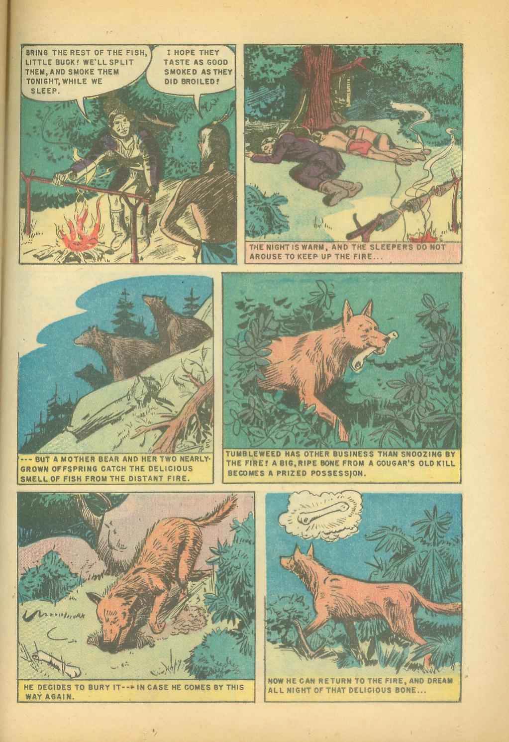 Read online The Lone Ranger (1948) comic -  Issue #54 - 45