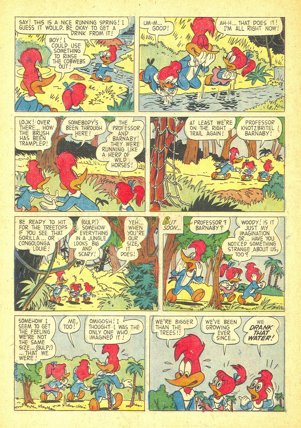 Read online Walter Lantz Woody Woodpecker (1952) comic -  Issue #53 - 12