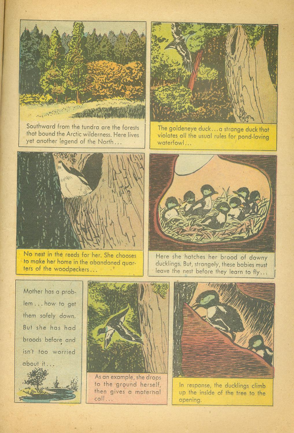 Read online Four Color Comics comic -  Issue #943 - 23