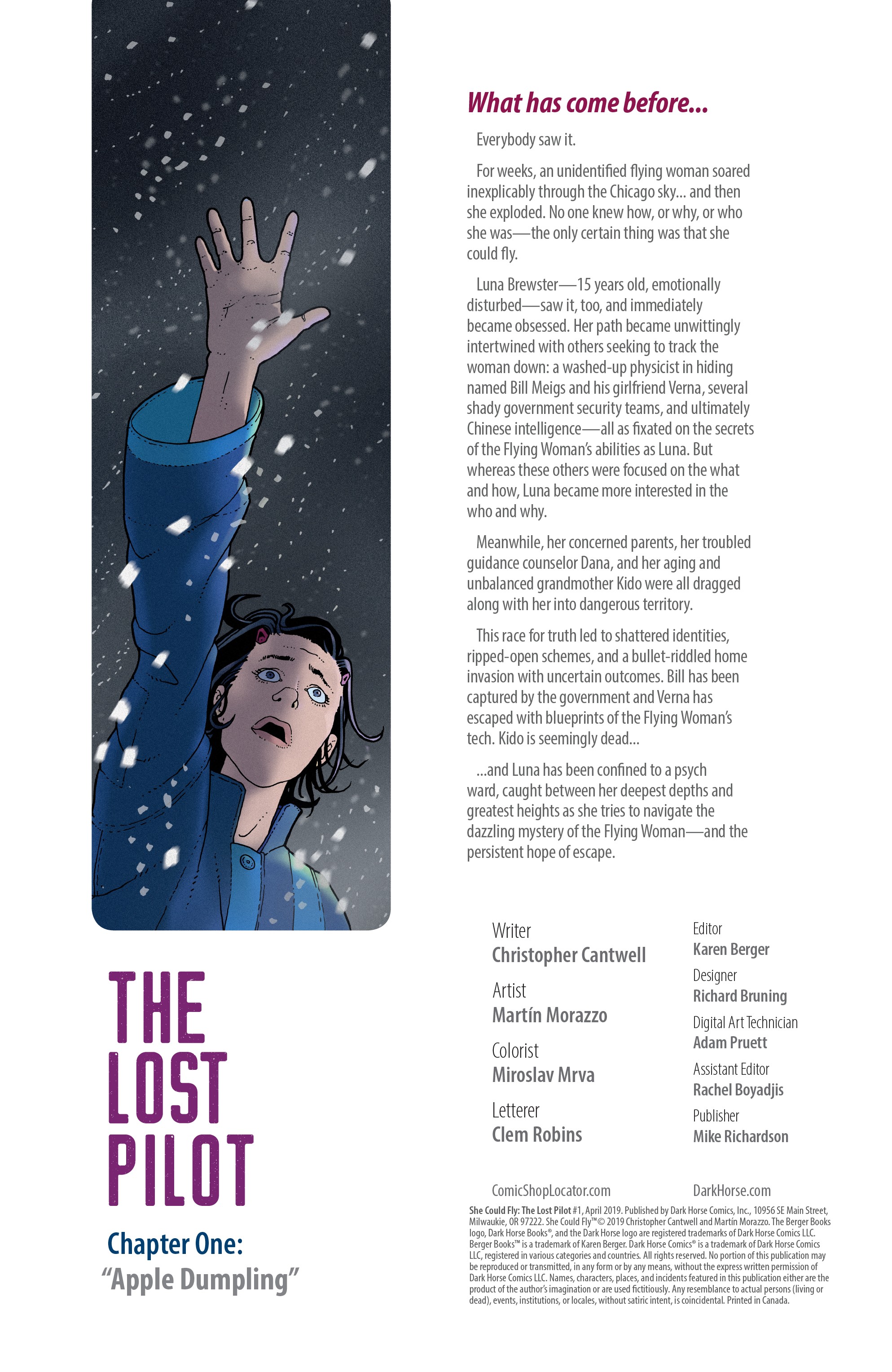 Read online She Could Fly: The Lost Pilot comic -  Issue #1 - 2