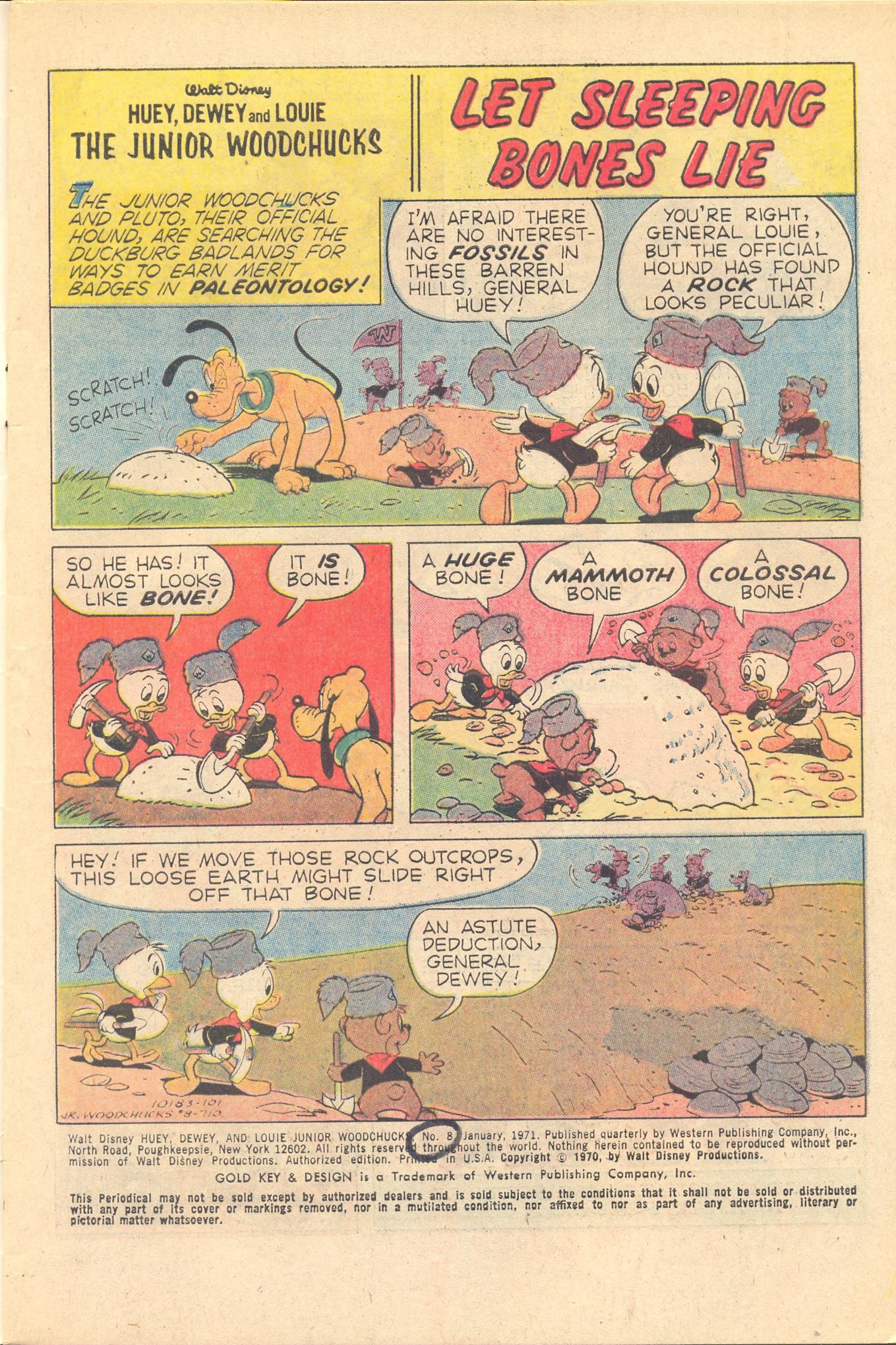 Read online Huey, Dewey, and Louie Junior Woodchucks comic -  Issue #8 - 3